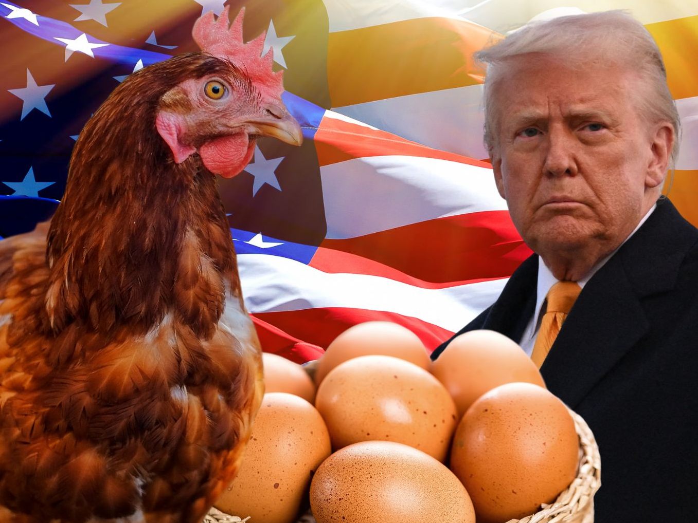 Die USA wollen Eier aus Österreich Die USA wollen Eier aus Österreich