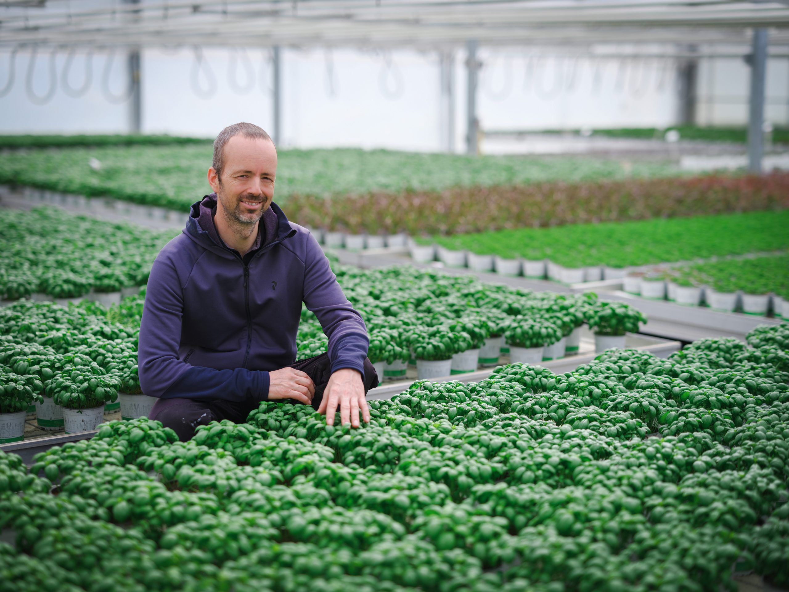 „Unser Erfolgsgeheimnis: Die Kräuter bekommen die notwendige Zeit, um genügend zu wachsen.“ Geschäftsführer, Alexander Angeloff