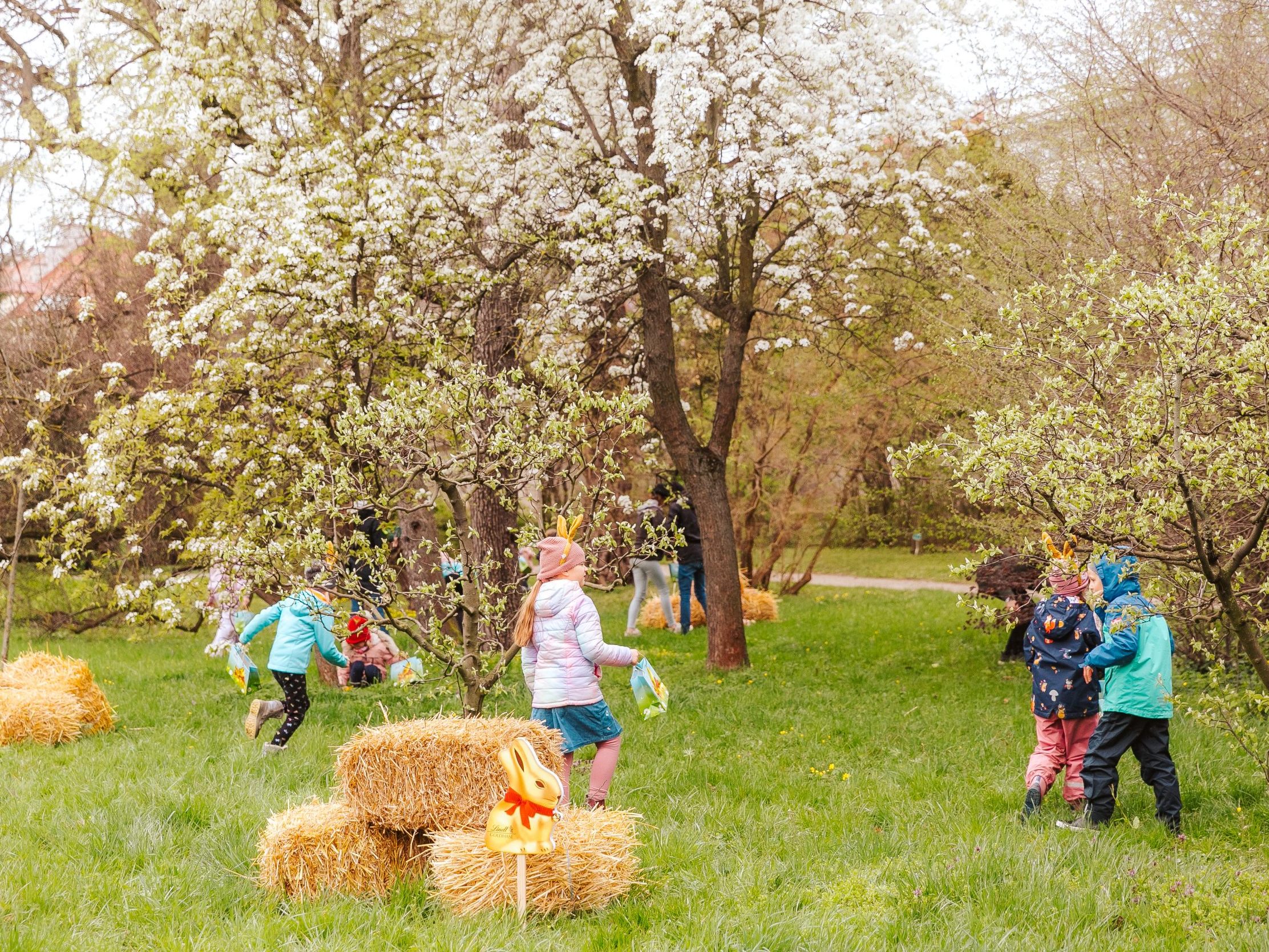 Am 13. April findet wieder das Lindt Goldhasenfest in Wien statt.