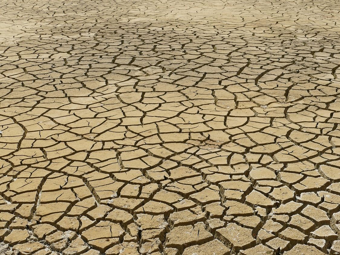 Europäische Forscher fordern rasches Handeln der Politik gegen den Klimawandel.