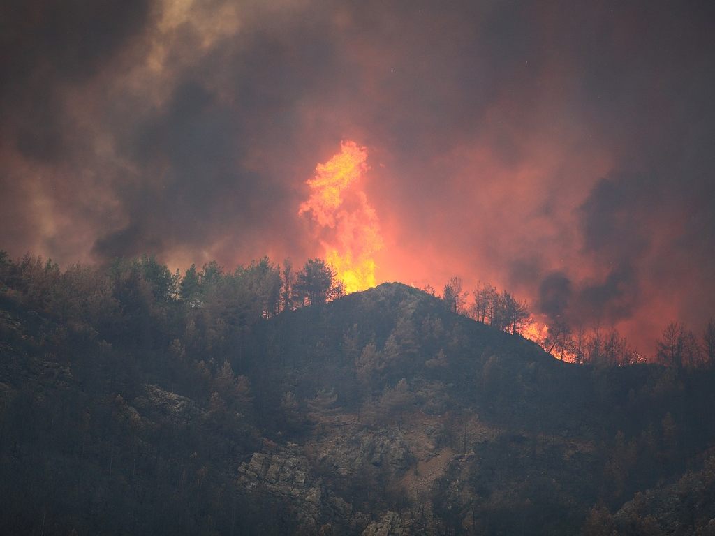 Die Bundesforste warnen vor steigender Waldbrandgefahr durch die Trockenheit. Die Bundesforste warnen vor steigender Waldbrandgefahr durch die Trockenheit.