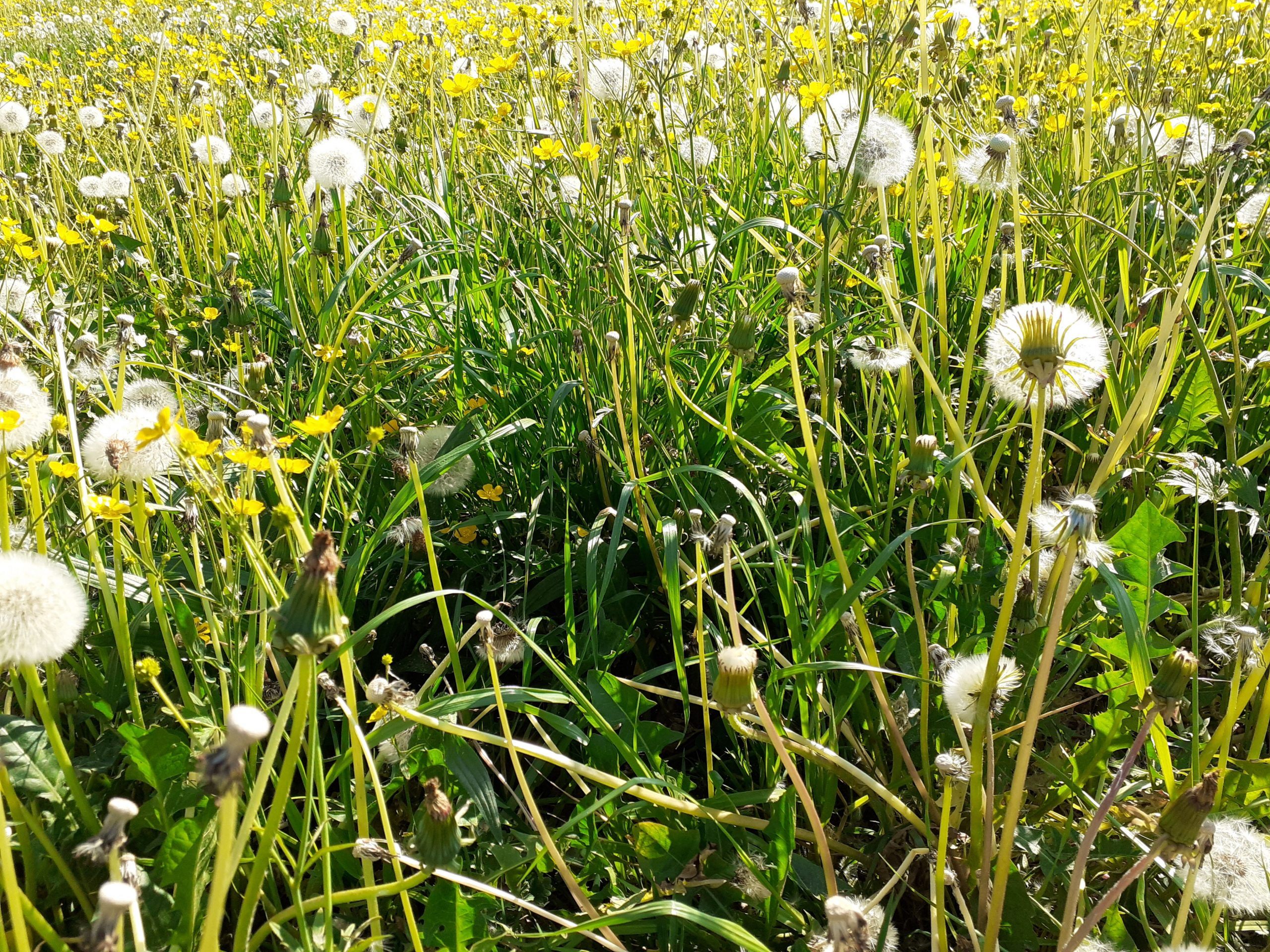 Welche Superkräfte stecken in der Natur?