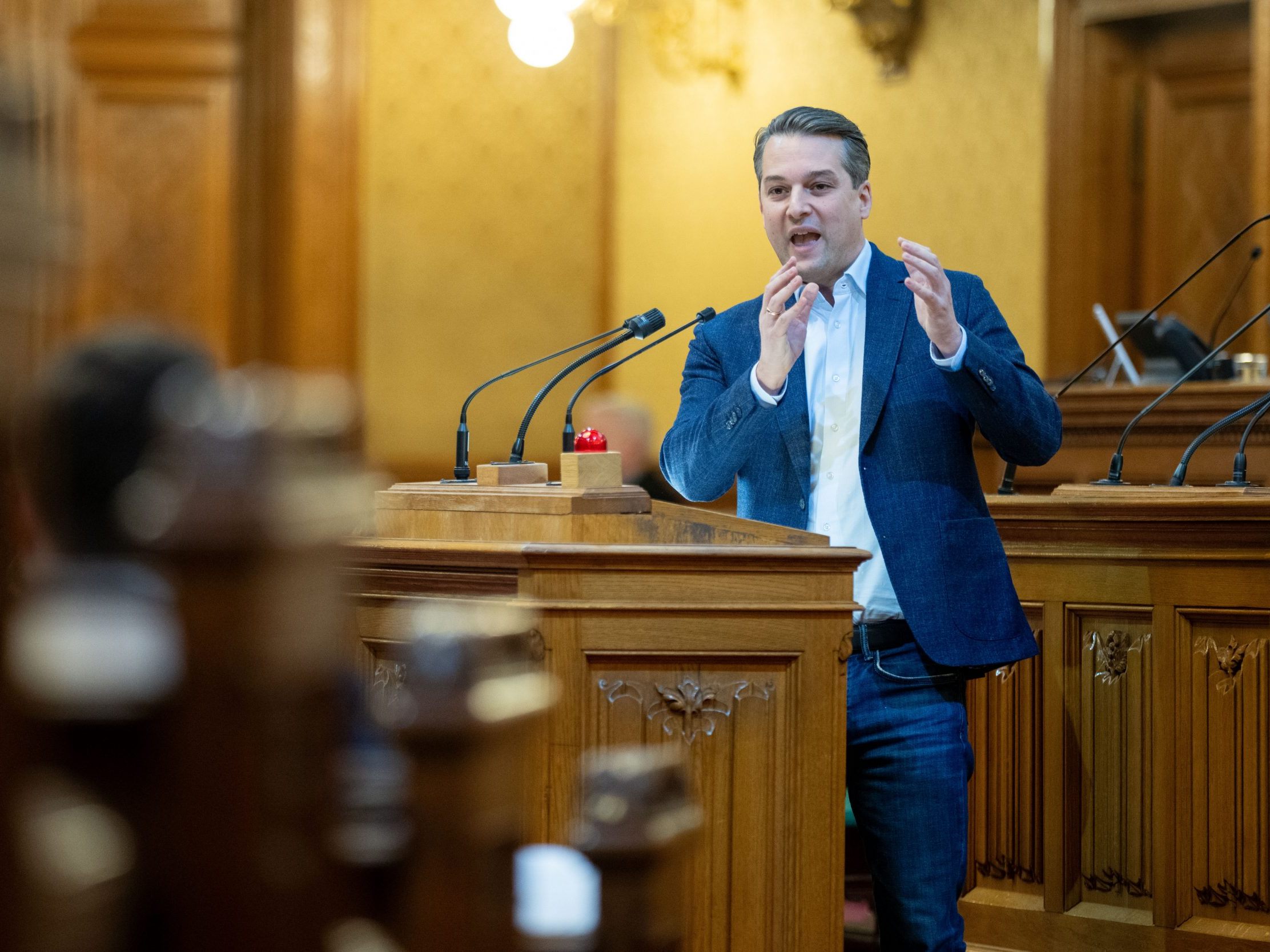Die FPÖ wollte den Sonderlandtag vor der Wien-Wahl.