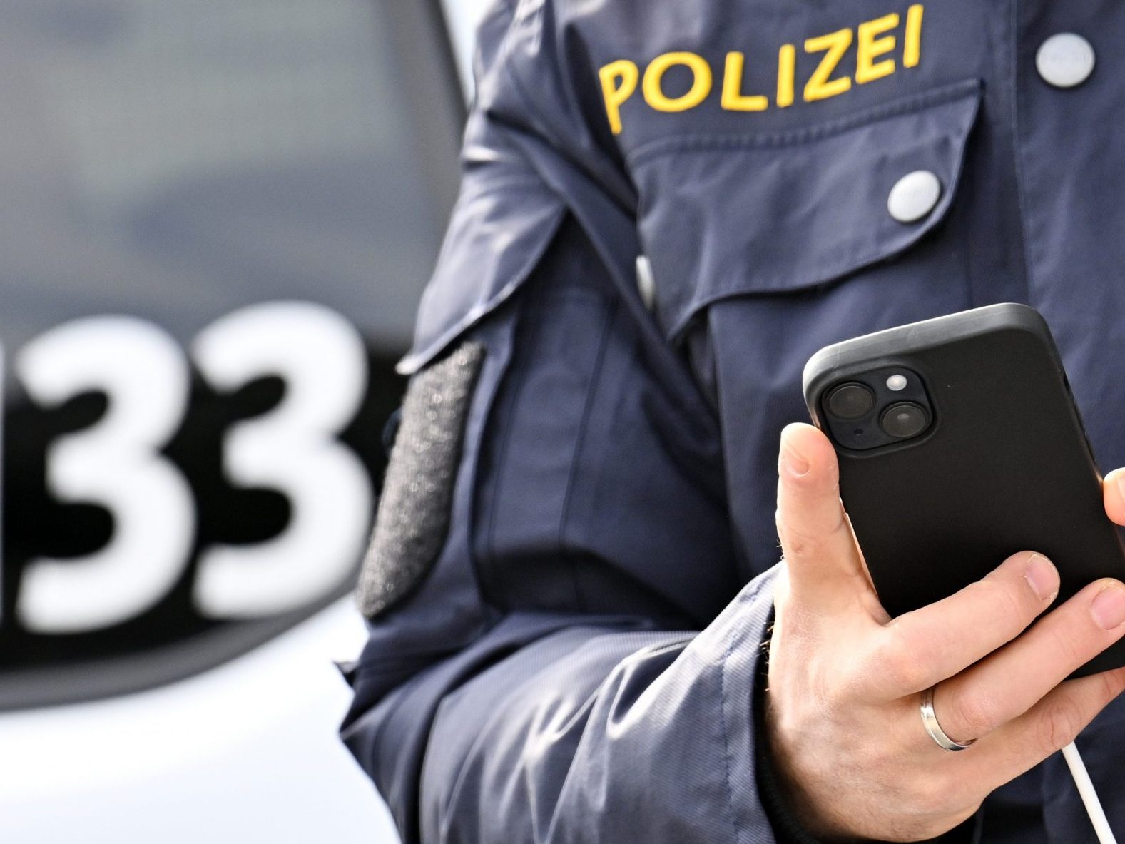 Der Mann wurde in eine Justizanstalt gebracht.