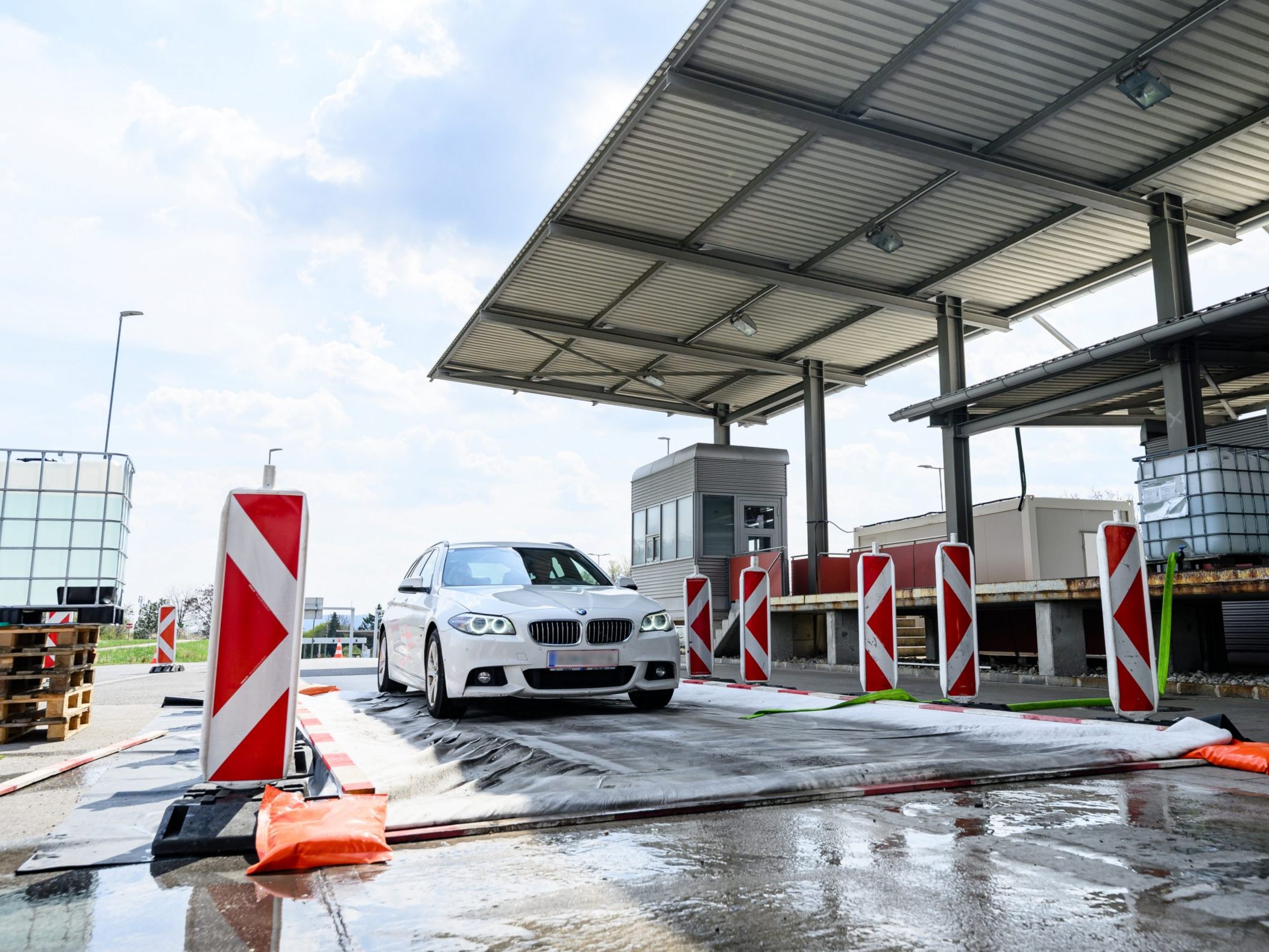 Eine Wissenschafterin plädiert für die Fortsetzung der Maßnahmen gegen die MKS. Eine Wissenschafterin plädiert für die Fortsetzung der Maßnahmen gegen die MKS.