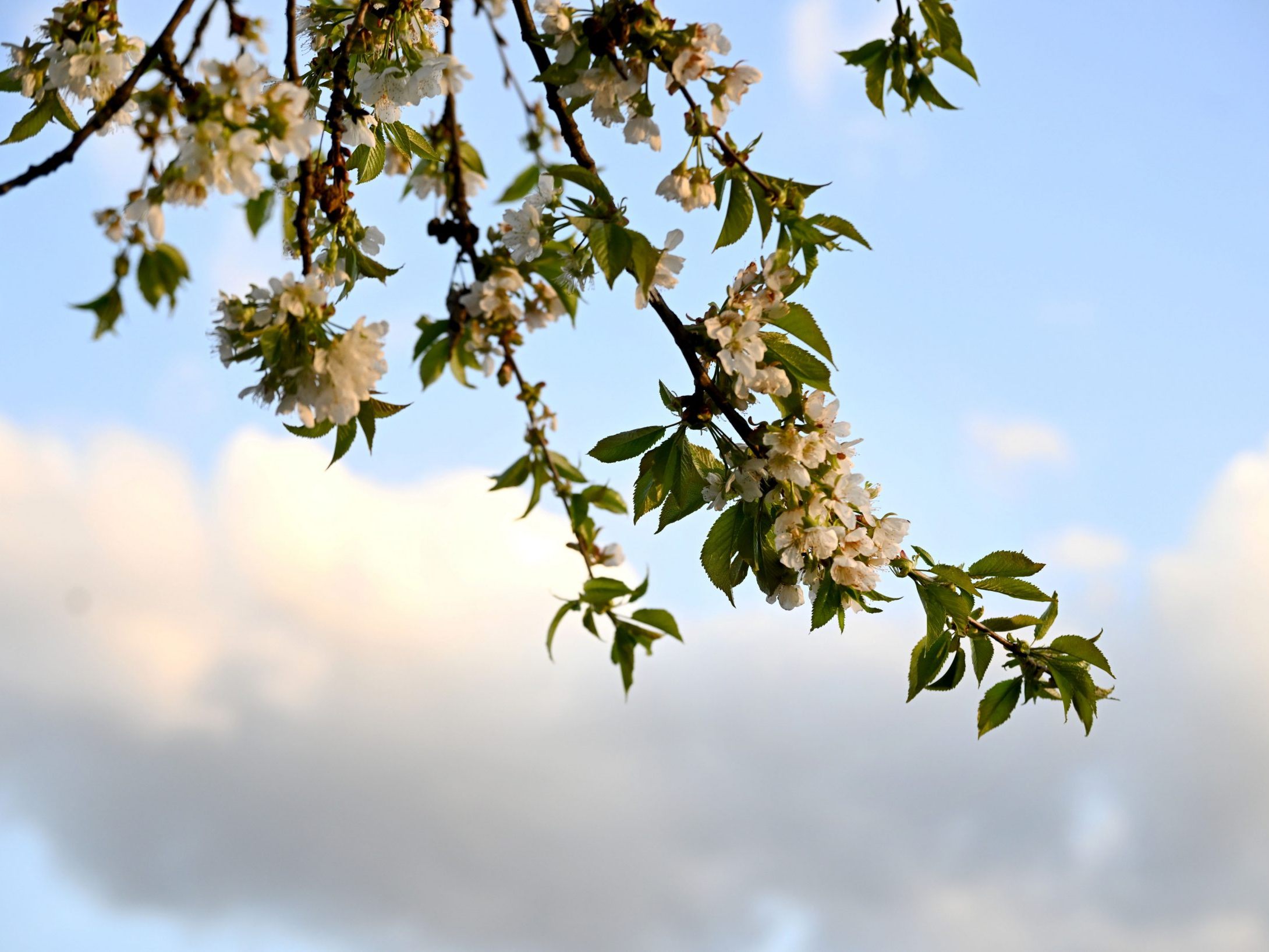 April-Temperaturen waren schon mal niedriger.
