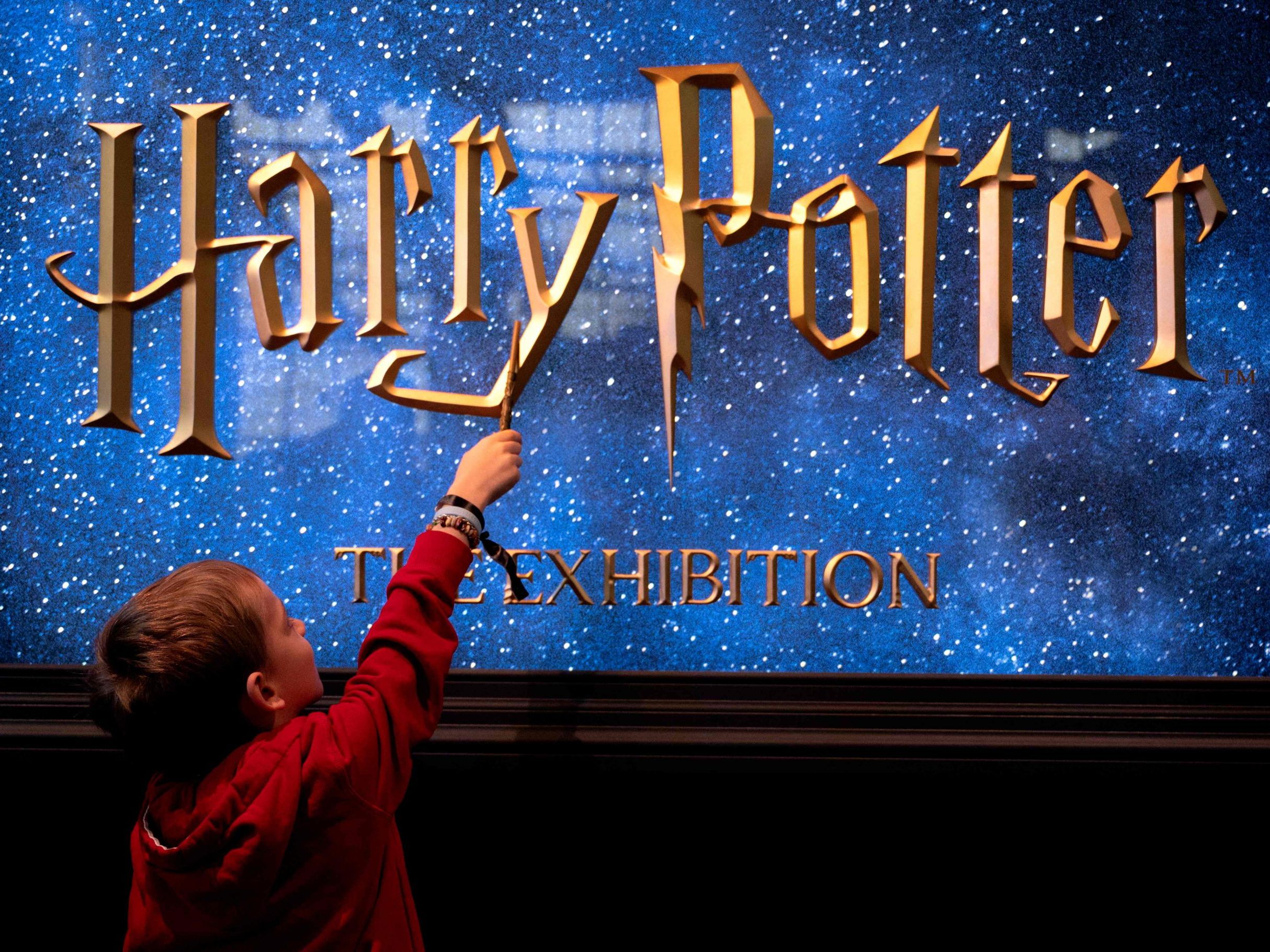 HBO hat erste Schauspieler:innen für die neue „Harry Potter“-Serie bekannt gegeben – darunter John Lithgow als Dumbledore –, während der Drehstart für Sommer 2025 geplant ist.