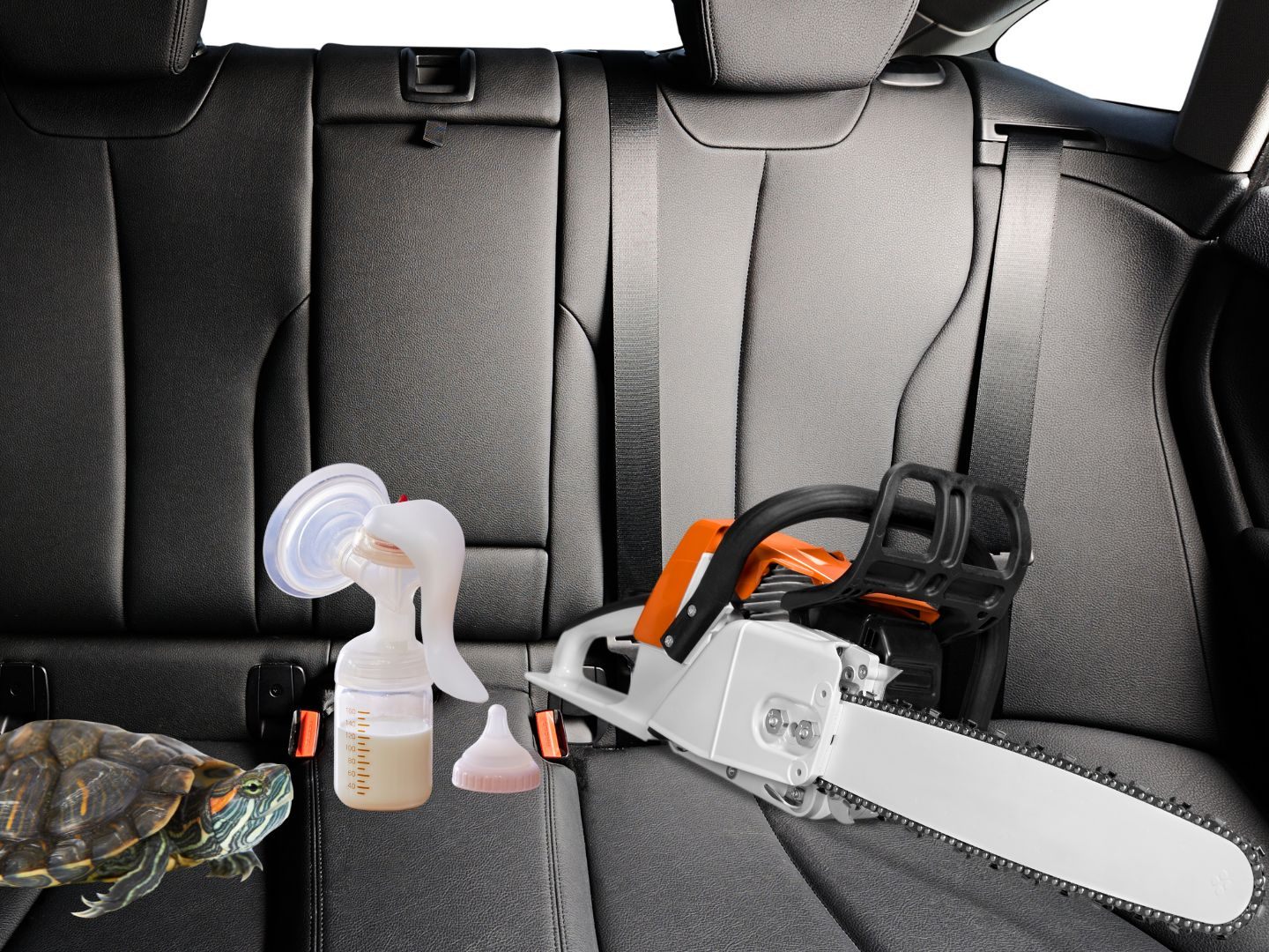 Eine Kettensäge, eine Schildkröte, Muttermilch und ein DNA-Test gehören zu den kuriosesten Uber-Funden im Index 2025. Eine Kettensäge, eine Schildkröte, Muttermilch und ein DNA-Test gehören zu den kuriosesten Uber-Funden im Index 2025.