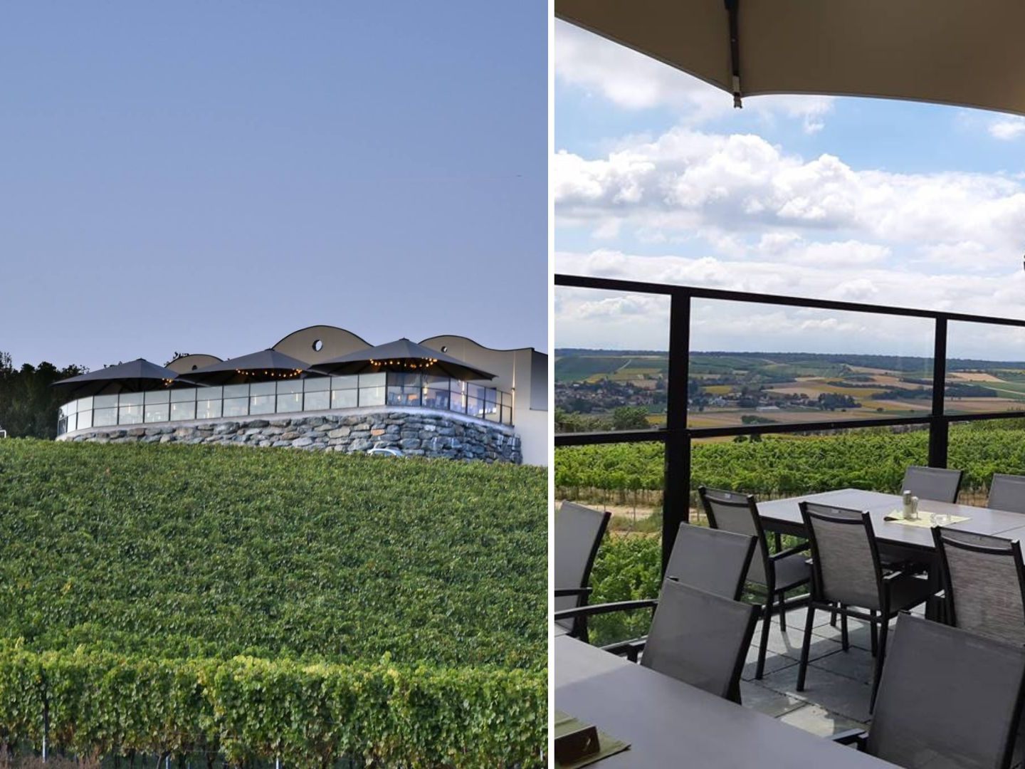 Ein Weinviertler Weingut samt Buschenschank wird versteigert.