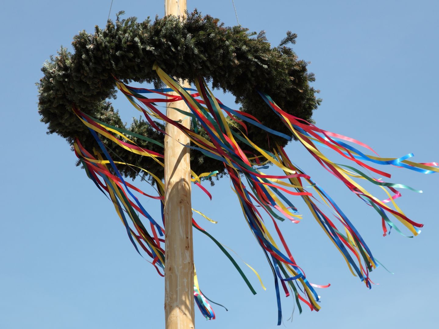 Maibaum-Aufstellen im Prater - gelebtes Brauchtum mitten in der Stadt.