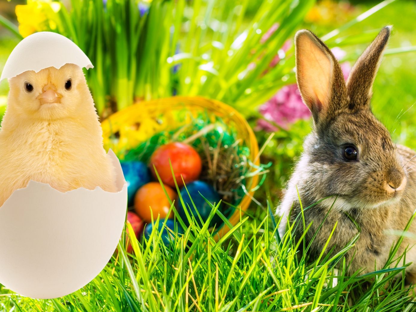 Die VOL.AT-Redaktion wünscht frohe Ostern! Die VOL.AT-Redaktion wünscht frohe Ostern!
