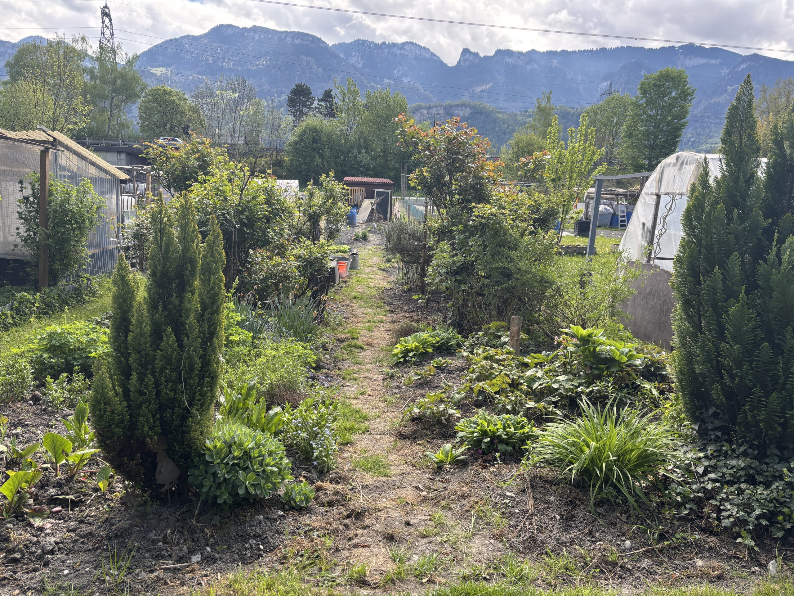 Schrebergarten Hohenems und Lerchenau Schrebergarten Hohenems und Lerchenau