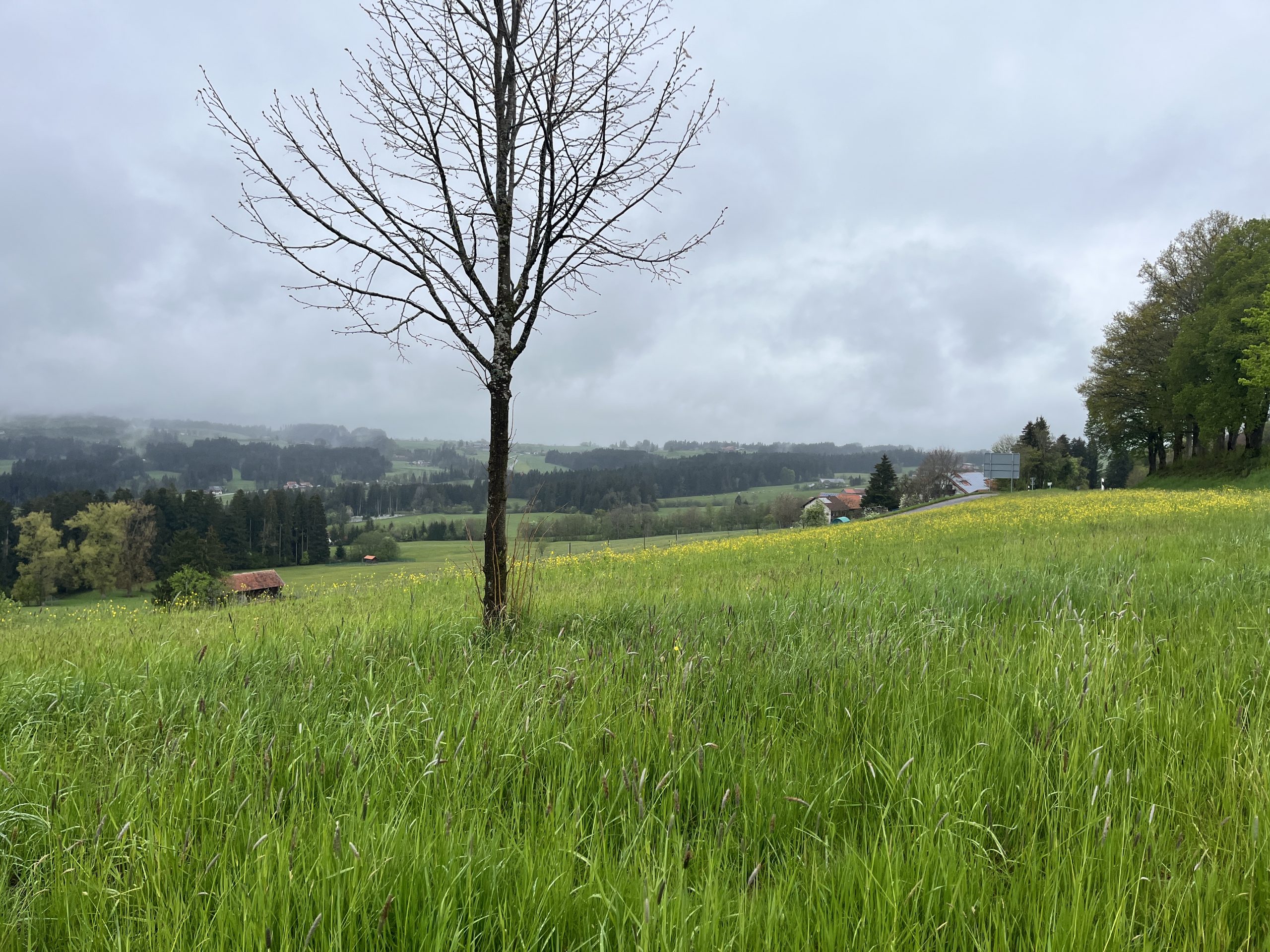 Weiler-Simmerberg. Ein beschauliches Örtchen im Allgäu. Weiler-Simmerberg. Ein beschauliches Örtchen im Allgäu.
