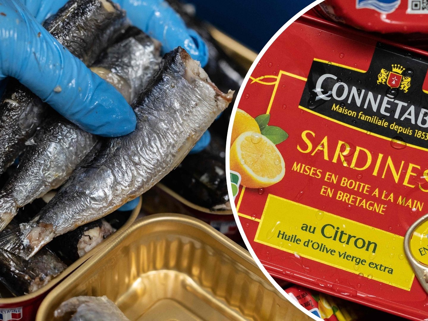 Sardinen aus der Dose - Gesünder als man dem unterschätzten Fisch gemeinhin zutraut. Sardinen aus der Dose - Gesünder als man dem unterschätzten Fisch gemeinhin zutraut.