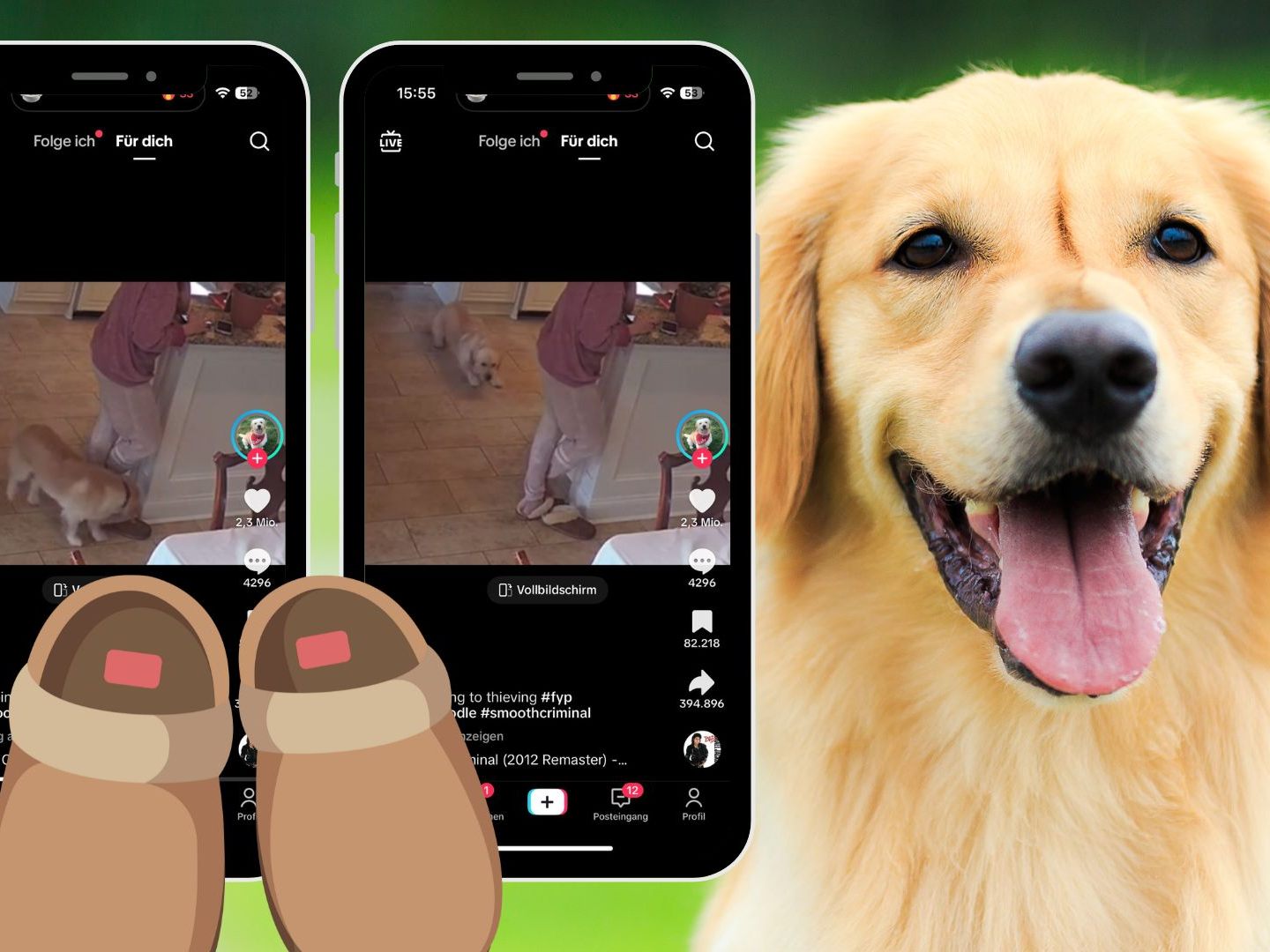 Ein TikTok-Video zeigt den Goldendoodle Rudy, der humorvoll vom Schlafen zum Diebstahl übergeht und dabei Millionen von Aufrufen erzielt.​