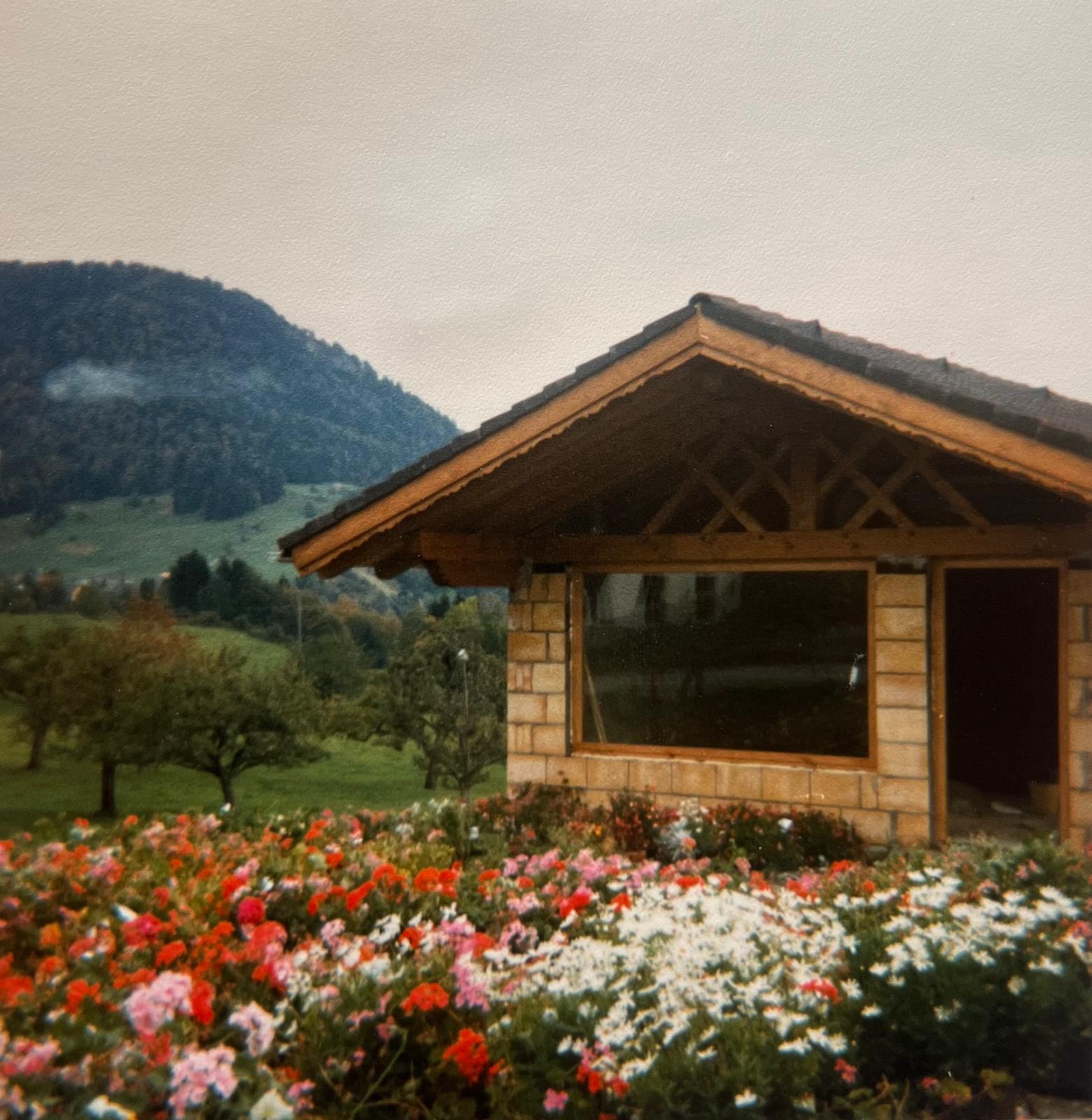 Das Haus vor 40 Jahren - Ein Bild von früher ...