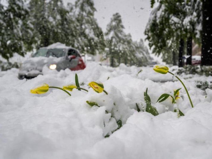 In der Schweiz sorgen Schneemassen Mitte April für Chaos.