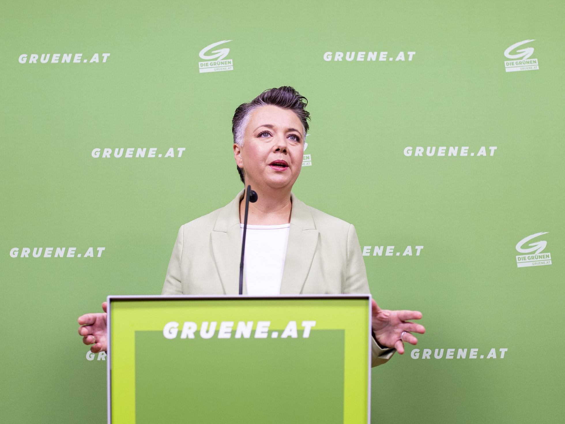 Die Grünen kritisieren die Kürzungen für Volksgruppen. Die Grünen kritisieren die Kürzungen für Volksgruppen.
