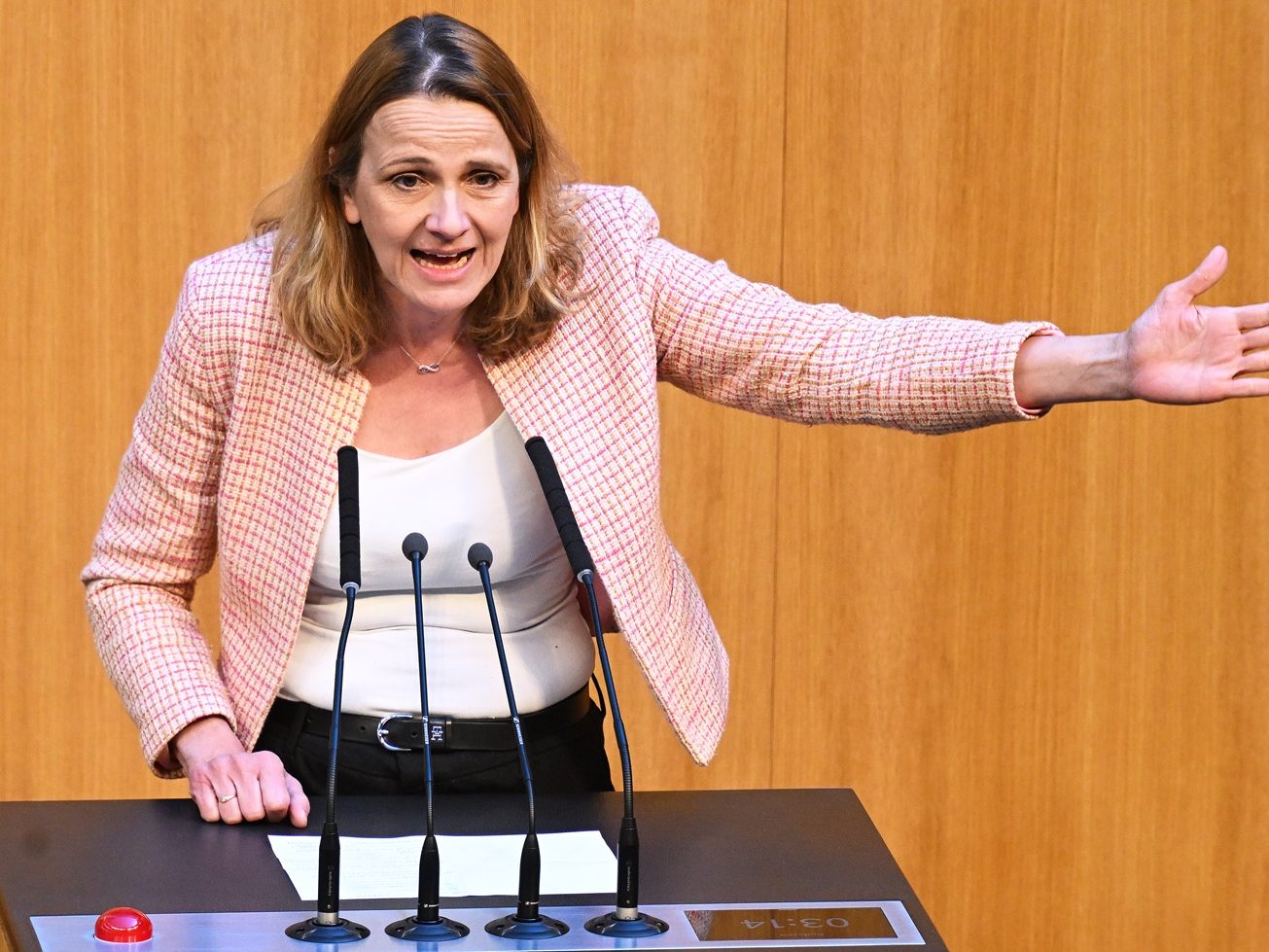 FPÖ sieht "unwürdiges Spiel". FPÖ sieht "unwürdiges Spiel".