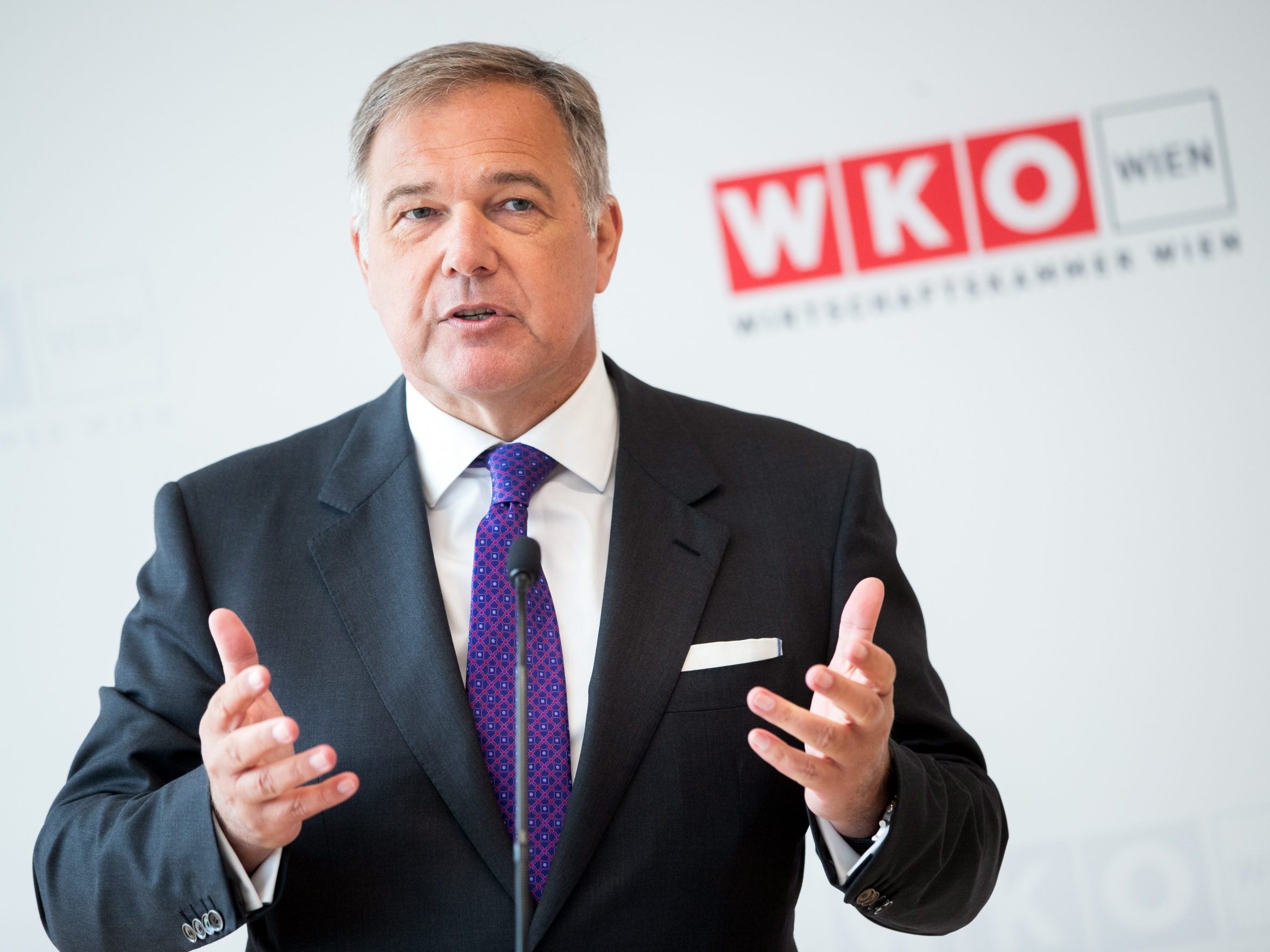 Die WKW will mit der Stadt Wien zwei Schulen gründen.