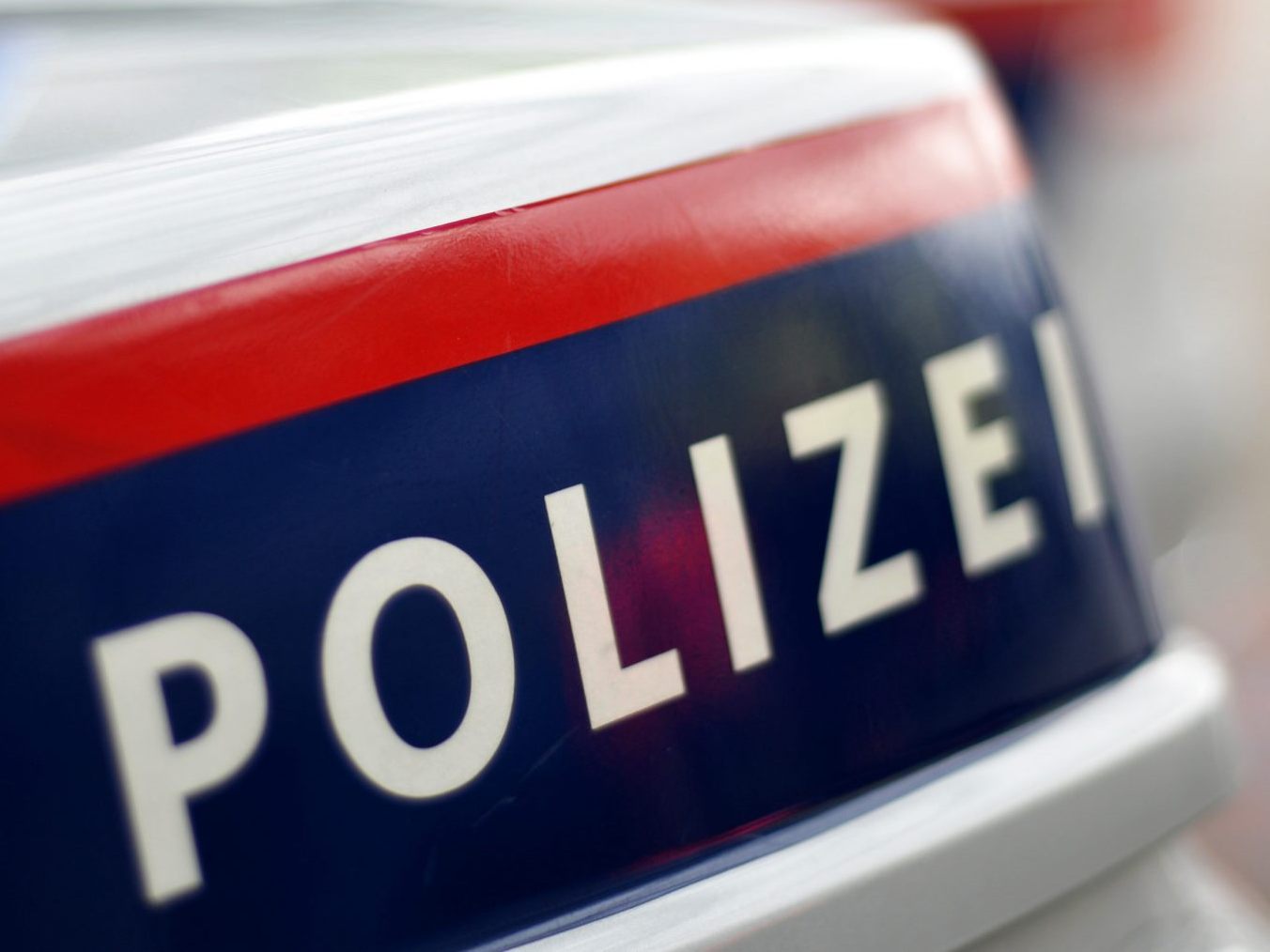 Ein mutmaßlicher Dieb wurde auf der Flucht gestoppt. Ein mutmaßlicher Dieb wurde auf der Flucht gestoppt.