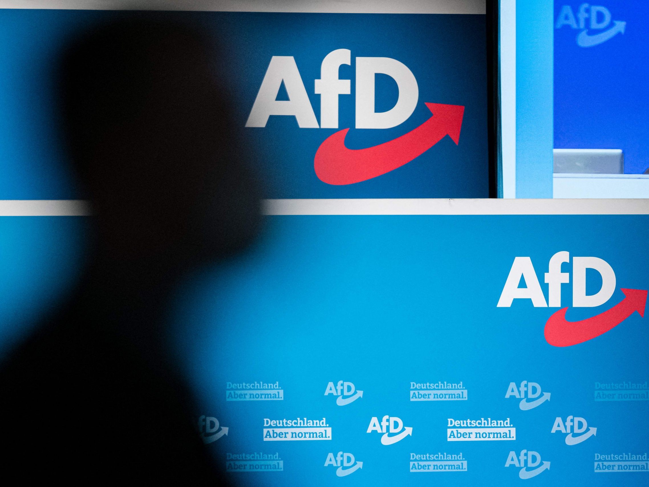 Das deutsche Bundesamt für Verfassungsschutz (BfV) hat die AfD als gesichert rechtsextremistisch eingestuft.