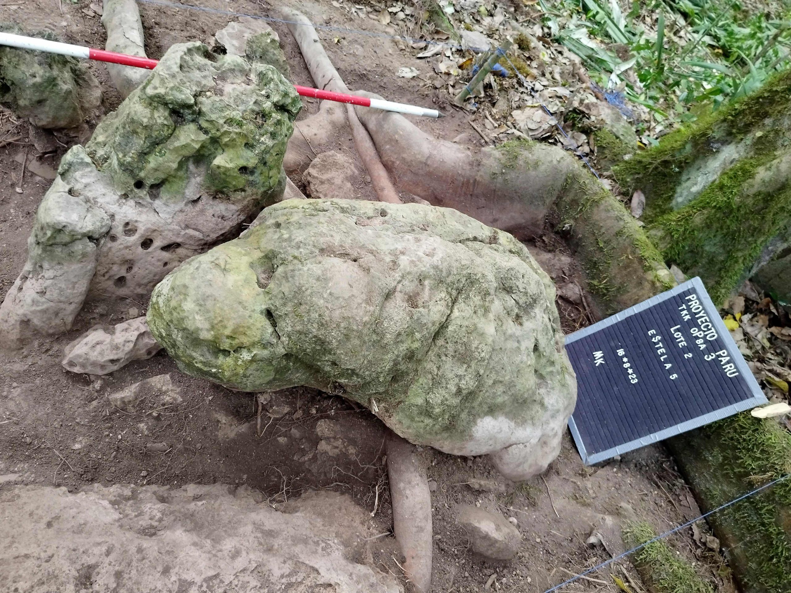 In Guatemala wurde eine Maya-Stätte entdeckt. In Guatemala wurde eine Maya-Stätte entdeckt.