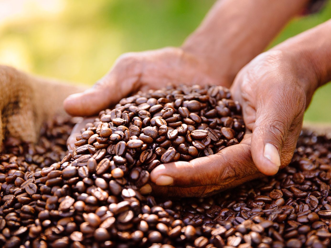 Der Fairtrade-Umsatz ist in Österreich trotz Rezession 2024 gestiegen. Der Fairtrade-Umsatz ist in Österreich trotz Rezession 2024 gestiegen.