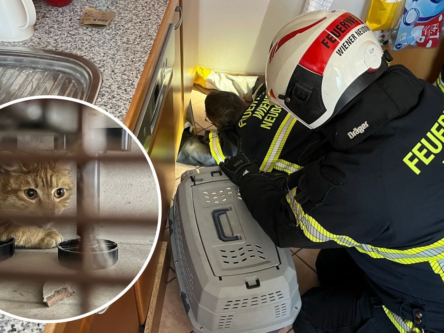 Katze kann sich bei Freiwilliger Feuerwehr Wiener Neudorf bedanken.