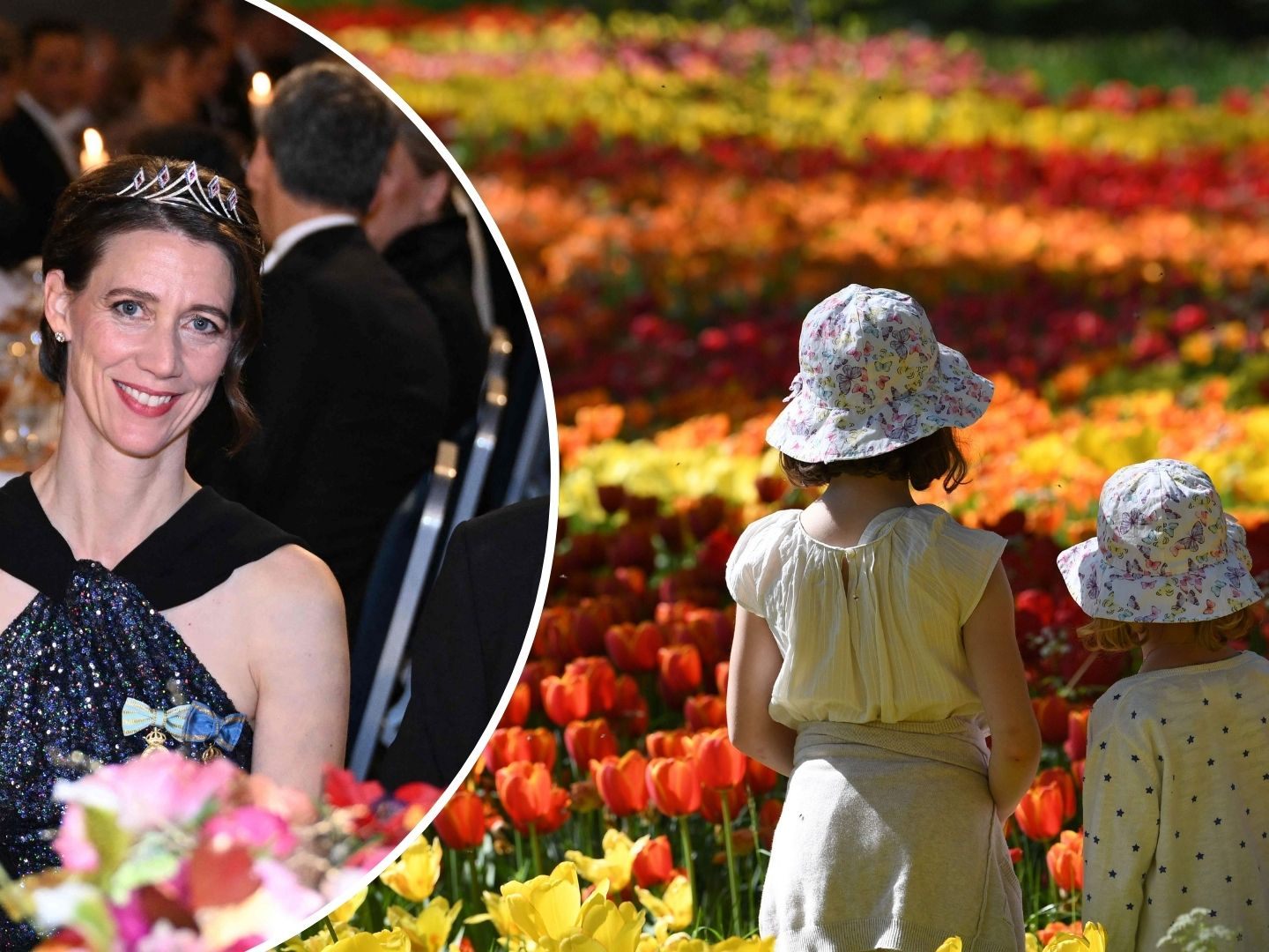 Gräfin gibt Führungsposten auf der Insel Mainau ab