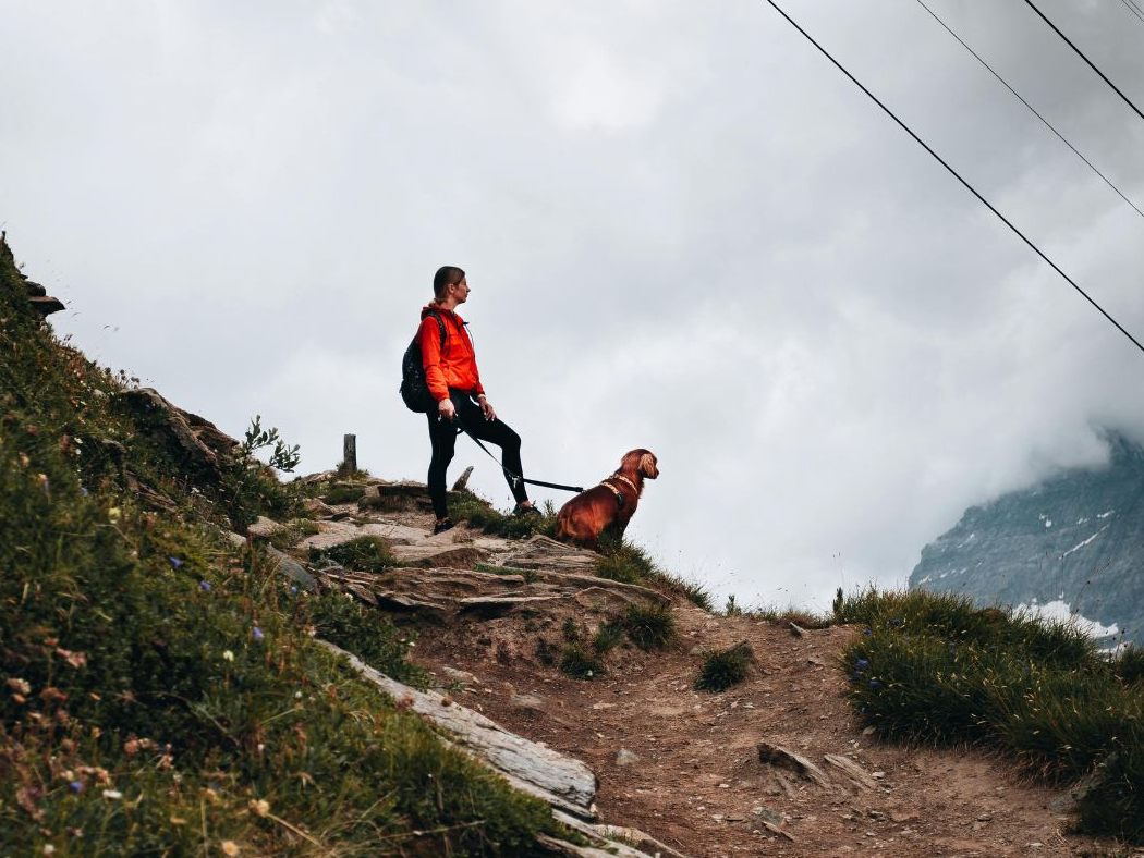 Eine Frau stürzte bei einer Wanderung ab, weil sie ihren Hund retten wollte.