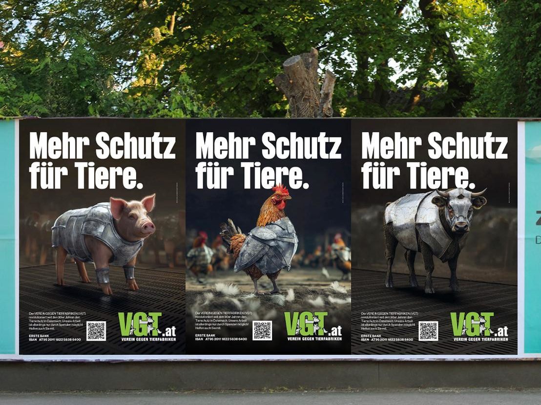Tiere mit Rüstungen und Kettenhemd – was hat es damit auf sich? Tiere mit Rüstungen und Kettenhemd – was hat es damit auf sich?
