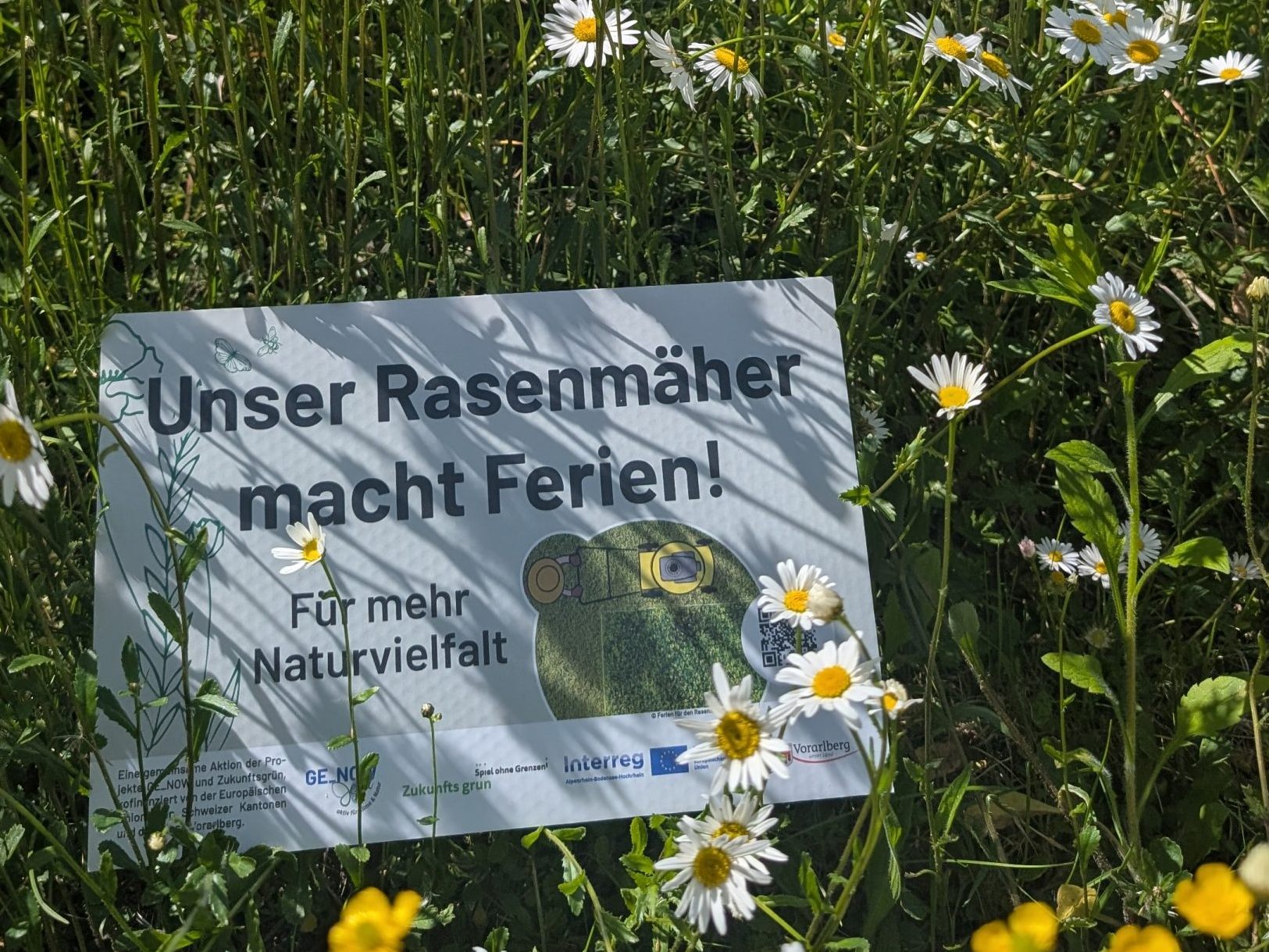 „Ferien für den Rasenmäher“ bringen Blumen zum Blühen „Ferien für den Rasenmäher“ bringen Blumen zum Blühen