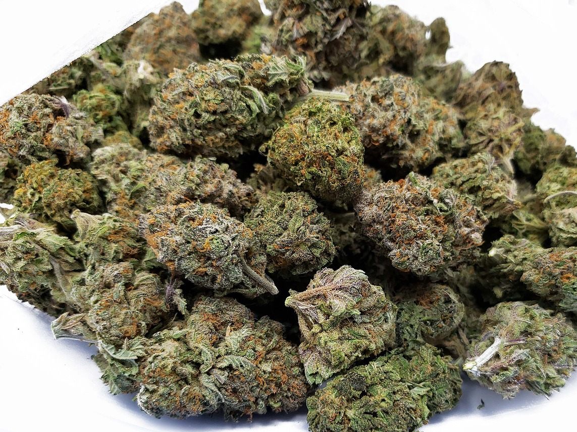 Elf Kilo Cannabiskraut wurden am Flughafen Wien sichergestellt.