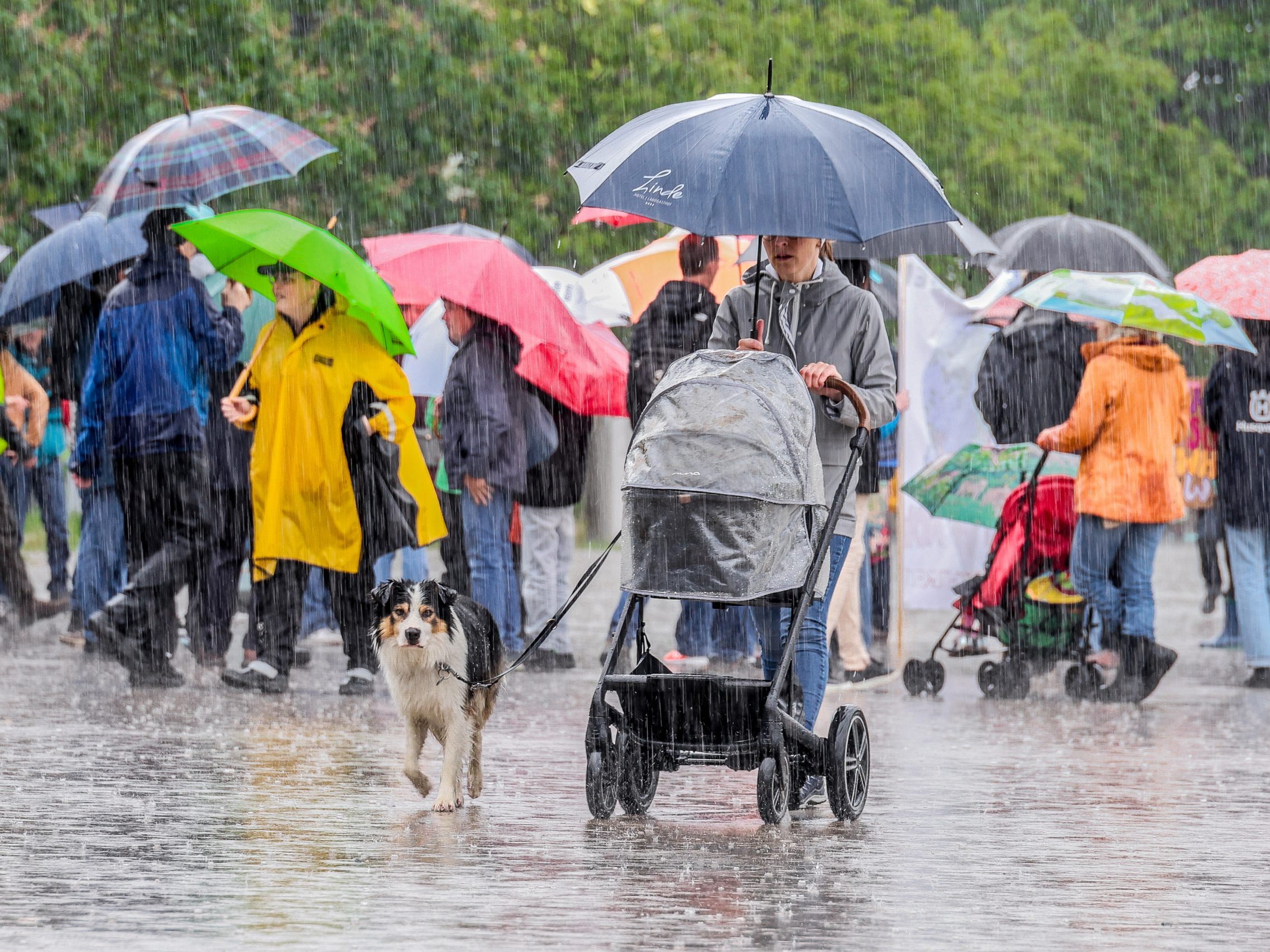 In den nächsten Tagen heißt es: Regenschirm einpacken