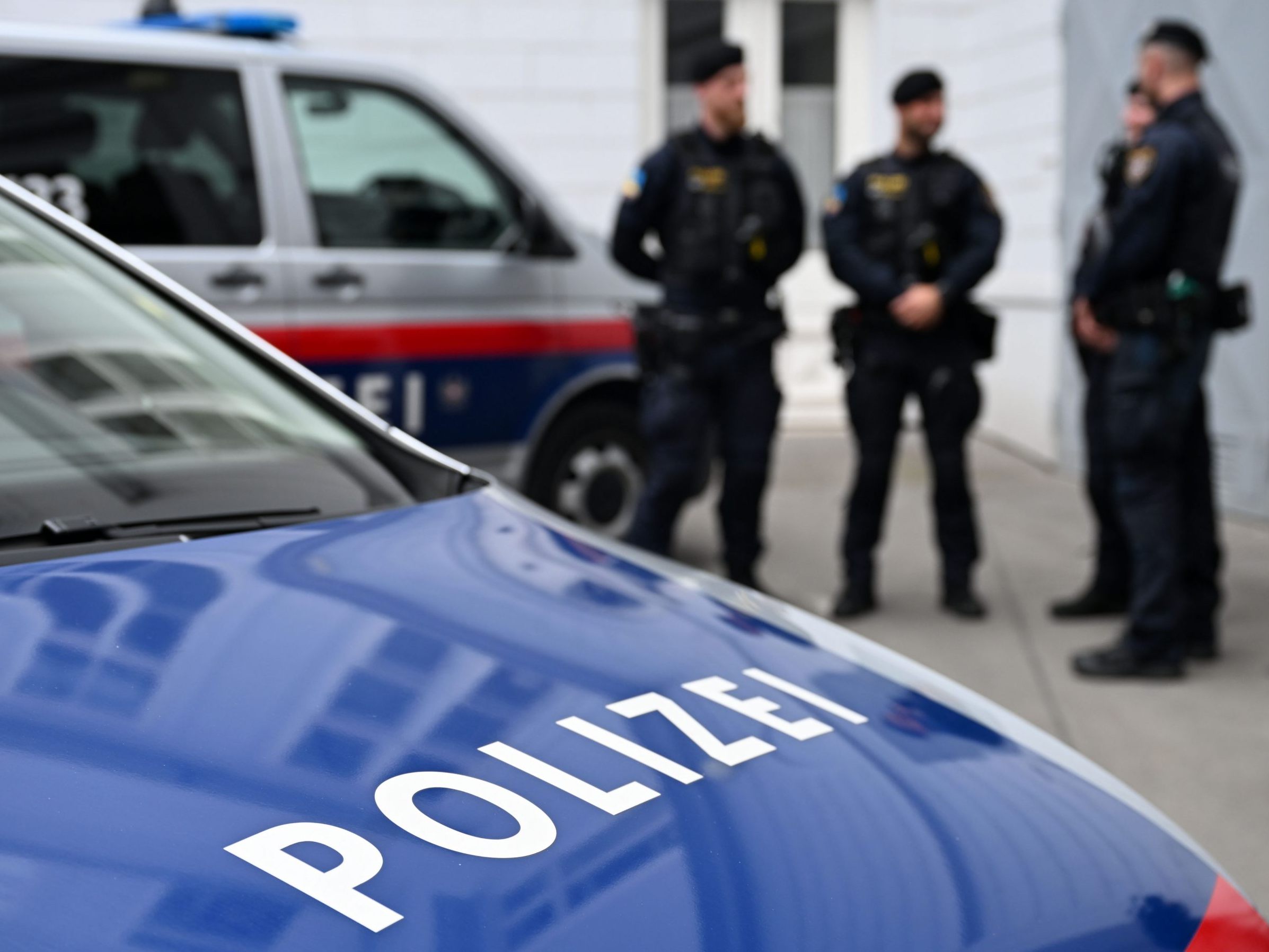 Der Mann wurde in eine Justizanstalt eingeliefert.
