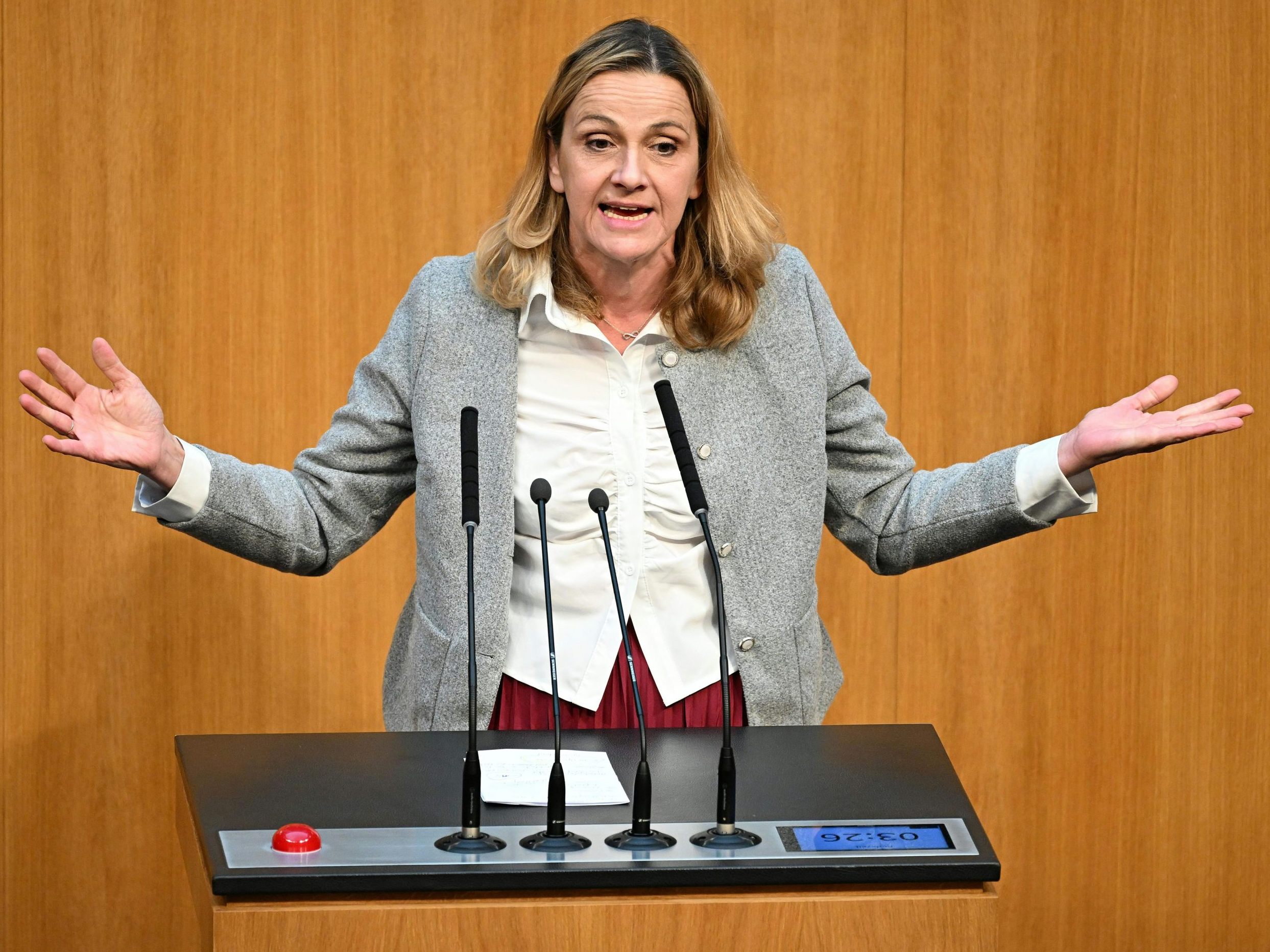 Belakowitsch zu Butscha-Besuch: "Da habt ihr viel Spaß gehabt, gell?"