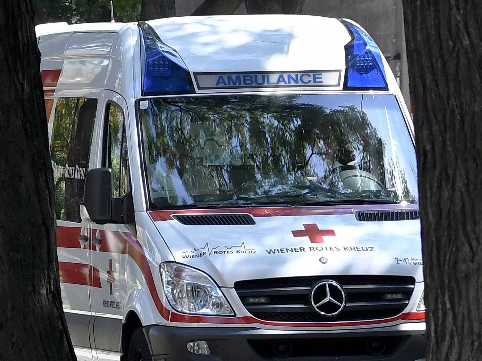 Ein 62-Jähriger war nach dem Sturz mit einem E-Bike im Wienerwald bewusstlos.