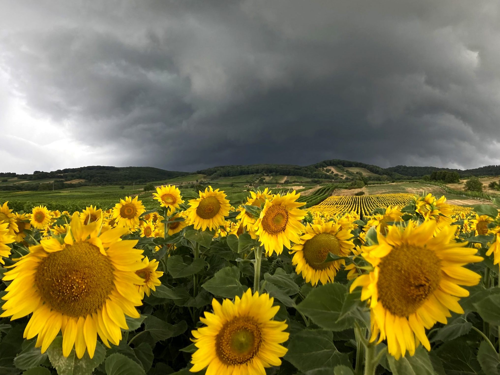 Der sommerliche Wettermix lässt Temperatur und Gewitterneigung steigen.