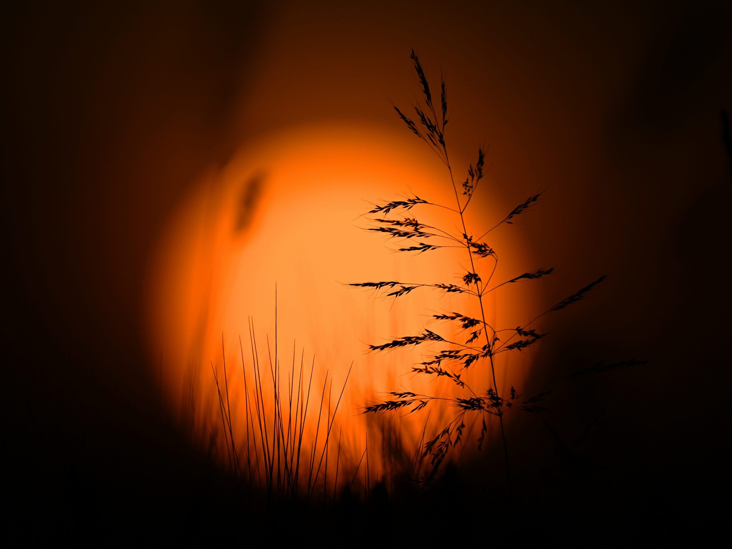 Ein Sonnenuntergang in Österreich. Ein Sonnenuntergang in Österreich.