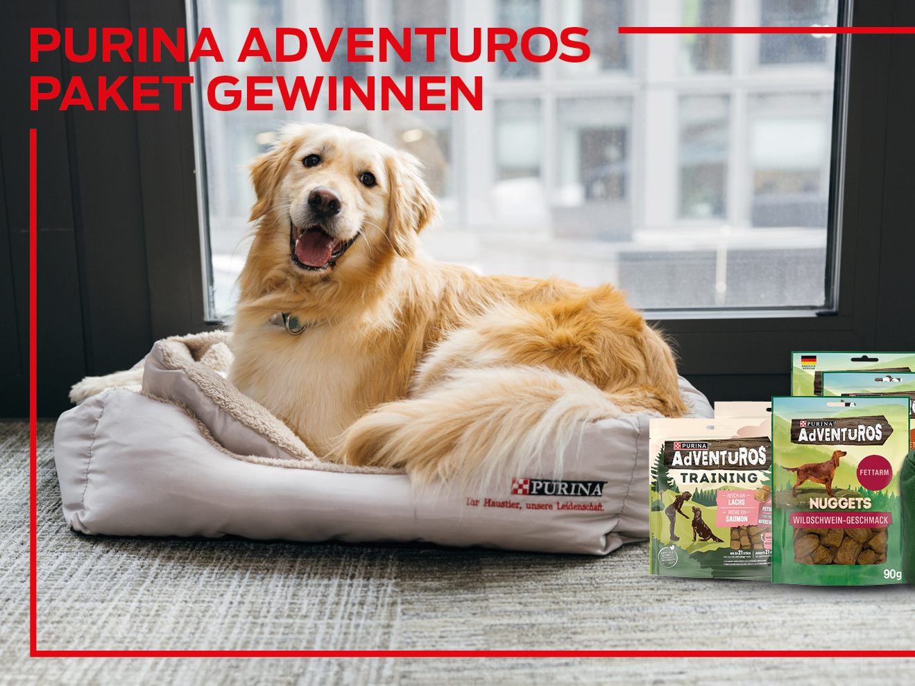 Gewinnt 1 von 5 PURINA AdVENTuROS Paketen für eure liebste Fellnase. Gewinnt 1 von 5 PURINA AdVENTuROS Paketen für eure liebste Fellnase.