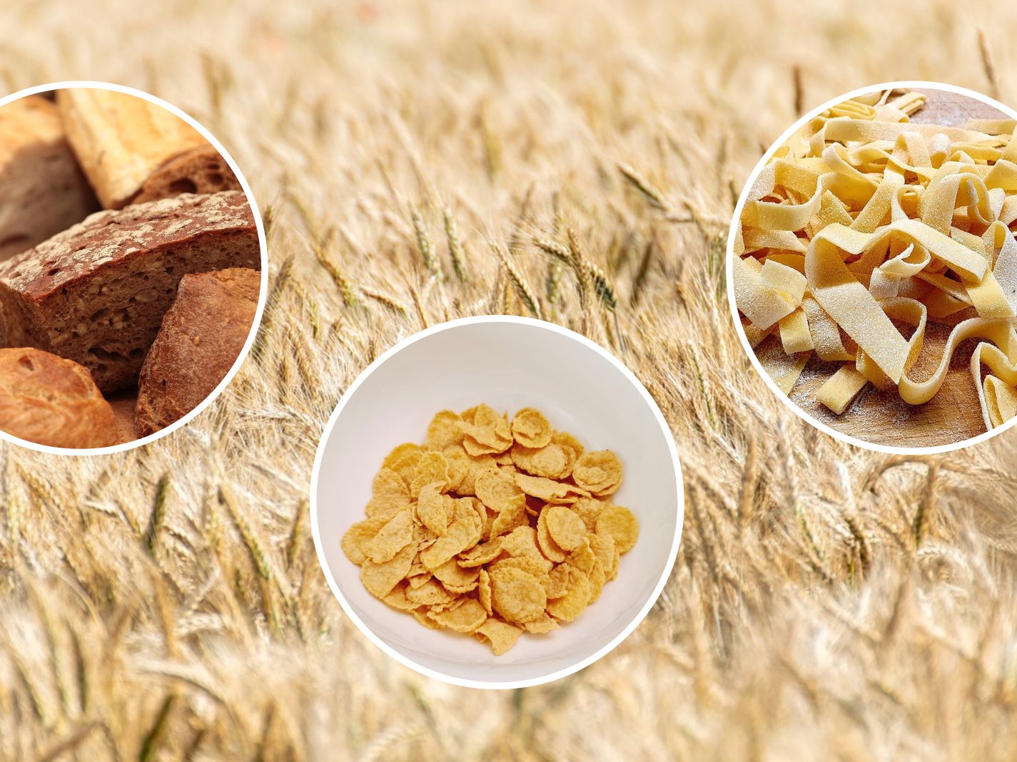 Umweltschützer fanden die Ewigkeits-Chemikalie TFA in Getreideprodukten wie Brot, Nudeln und Cornflakes. Umweltschützer fanden die Ewigkeits-Chemikalie TFA in Getreideprodukten wie Brot, Nudeln und Cornflakes.