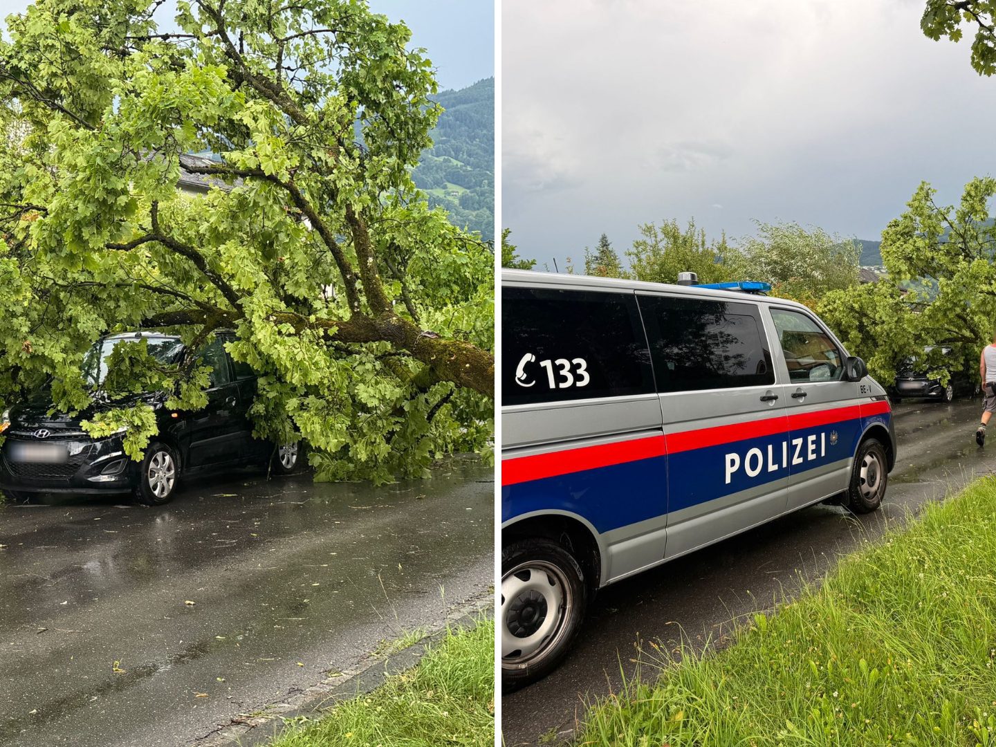 Sturm kippt Baum auf Auto: Fahrer unverletzt. Sturm kippt Baum auf Auto: Fahrer unverletzt.