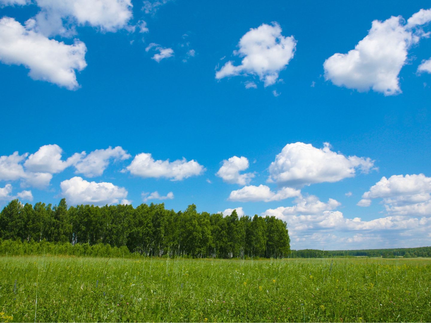 Das Wetter wird diese Woche überwiegend sonnig und heiß.