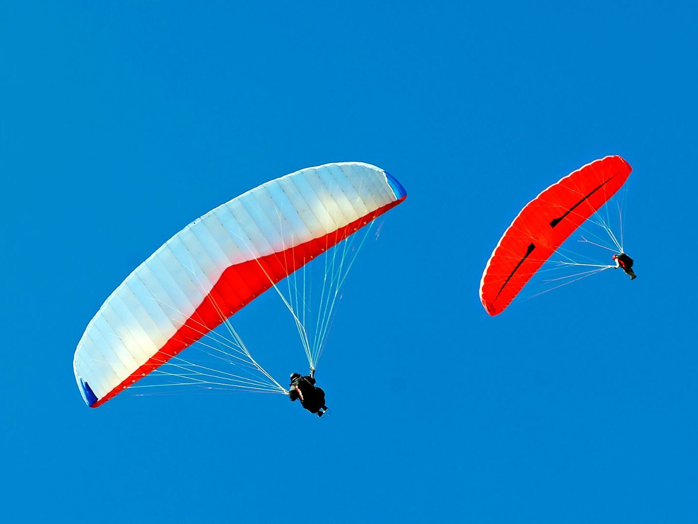 Zwei Paragleiterinnen sind am Dienstag in die Salzach gestürzt. Zwei Paragleiterinnen sind am Dienstag in die Salzach gestürzt.