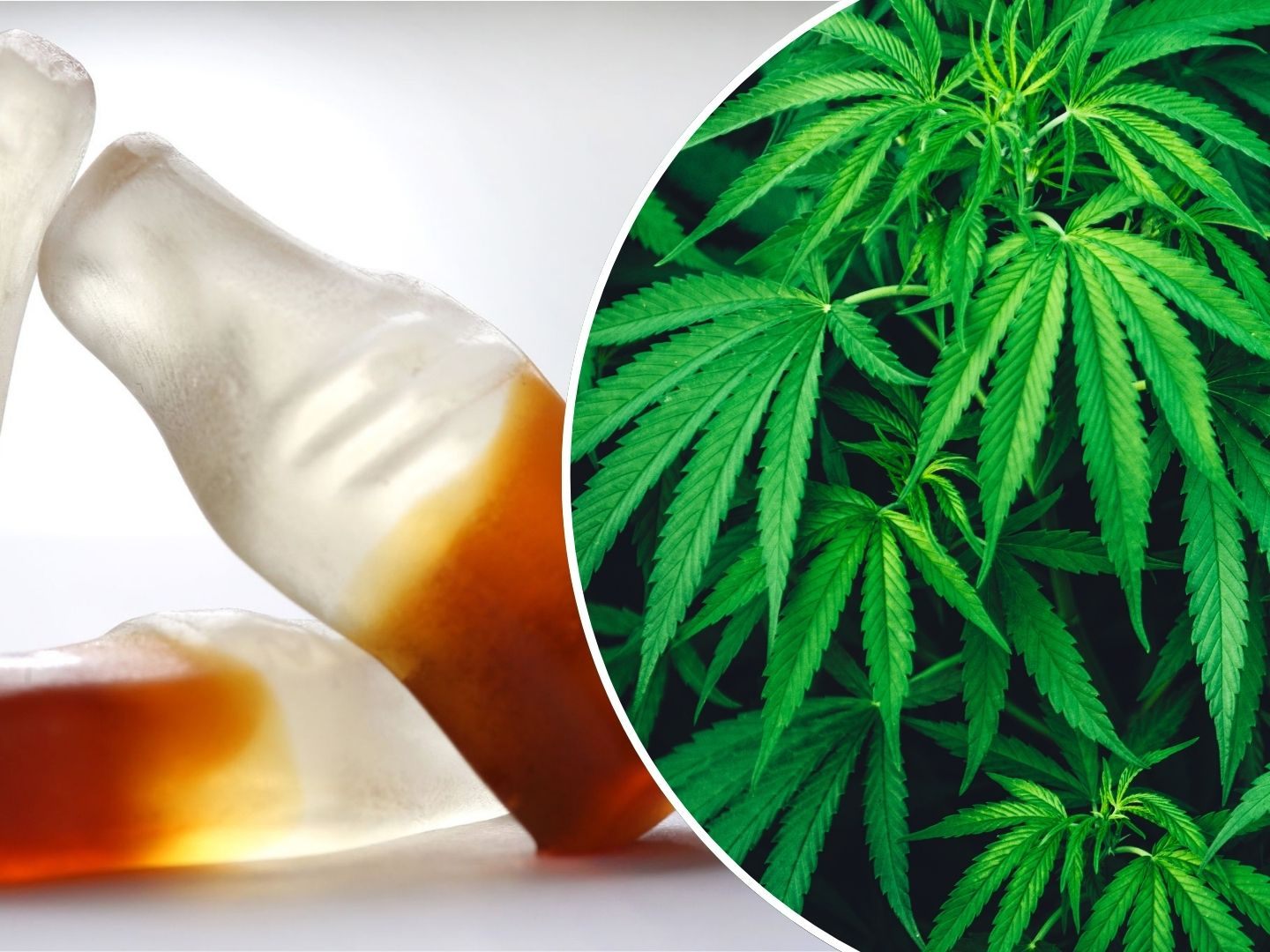 Ein Kind liegt im Koma, nach dem es Colafläschen mit Cannabis gegessen hat.
