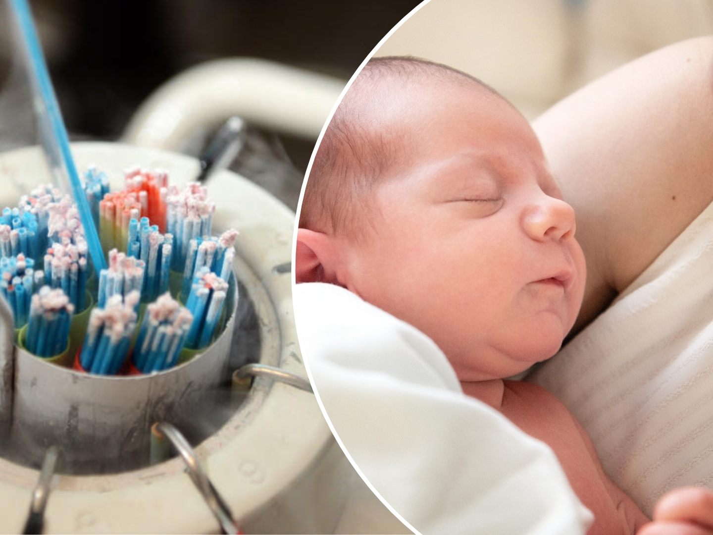 Auch der leibliche Vater aus Salzburg soll nichts von Verwendung seines Spermas gewusst haben. Auch der leibliche Vater aus Salzburg soll nichts von Verwendung seines Spermas gewusst haben.