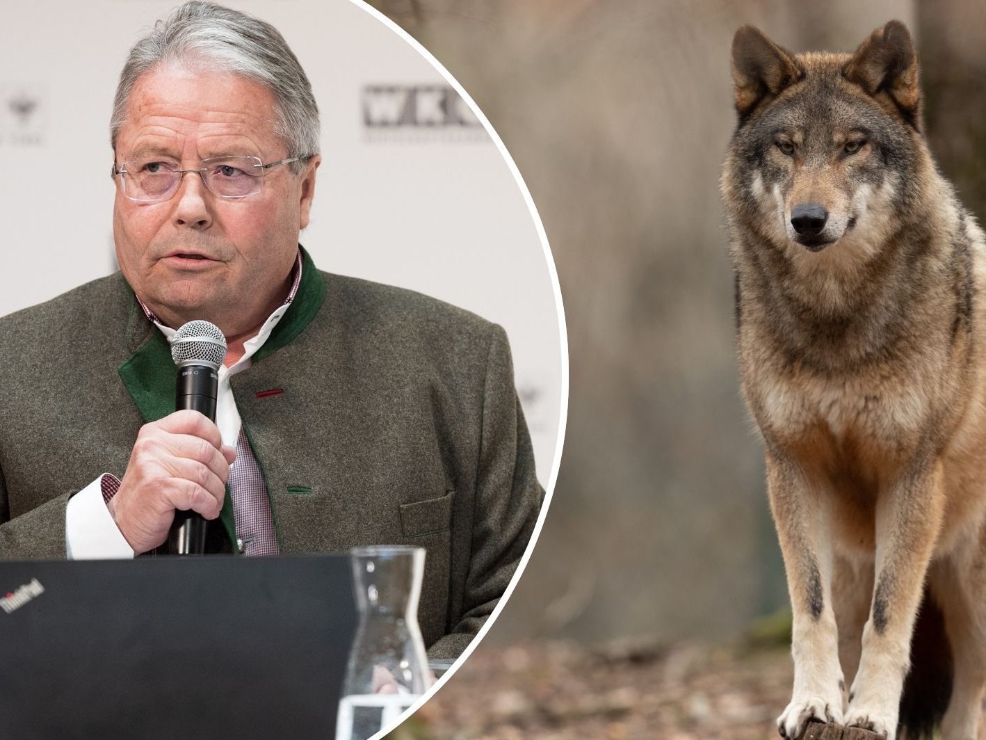 ÖVP-Grande musste sich am Landesgericht Innsbruck verantworten ÖVP-Grande musste sich am Landesgericht Innsbruck verantworten