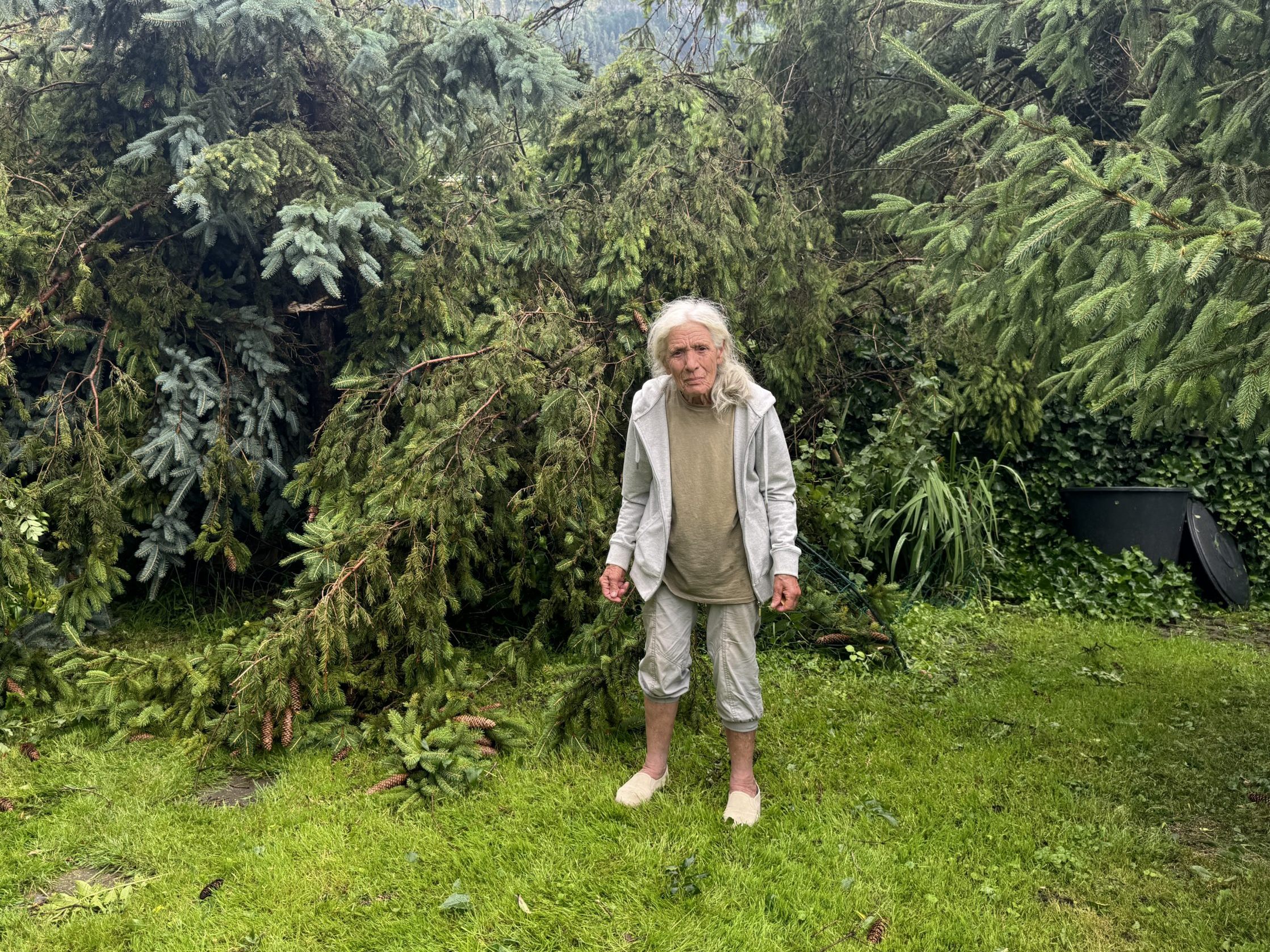 Dornbirn: Nachbarsbaum fällt um – Marias Hühnerstall begraben.