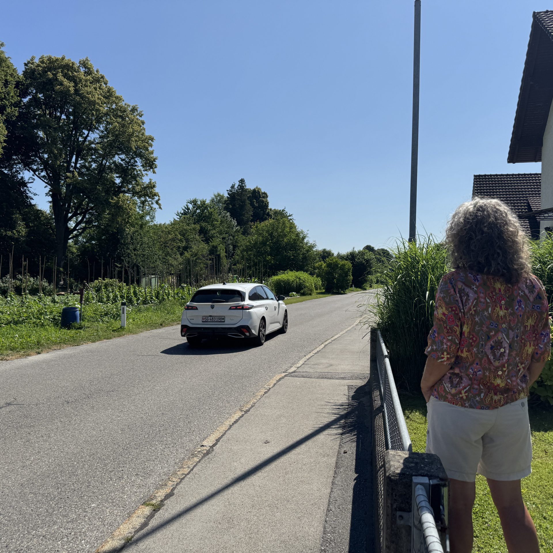 Die Anrainerin ist froh über den Blitzer. Ihr Hund musste schon unter einem Raser leiden.
